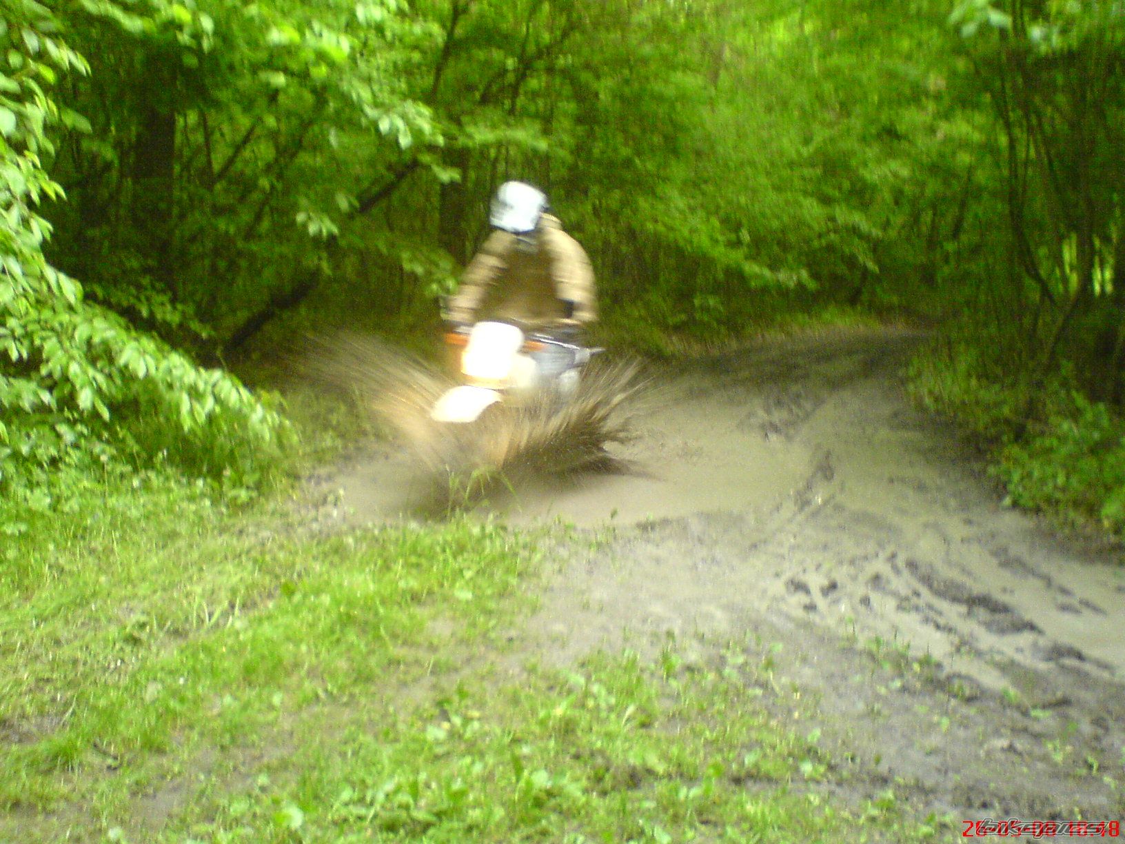 Photo 1556729
