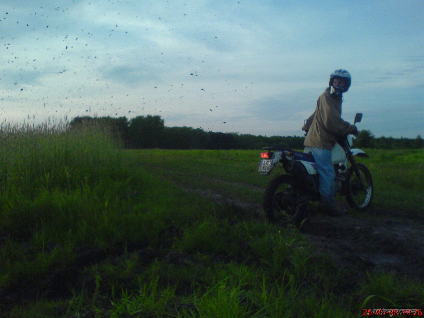 Photo 1556734