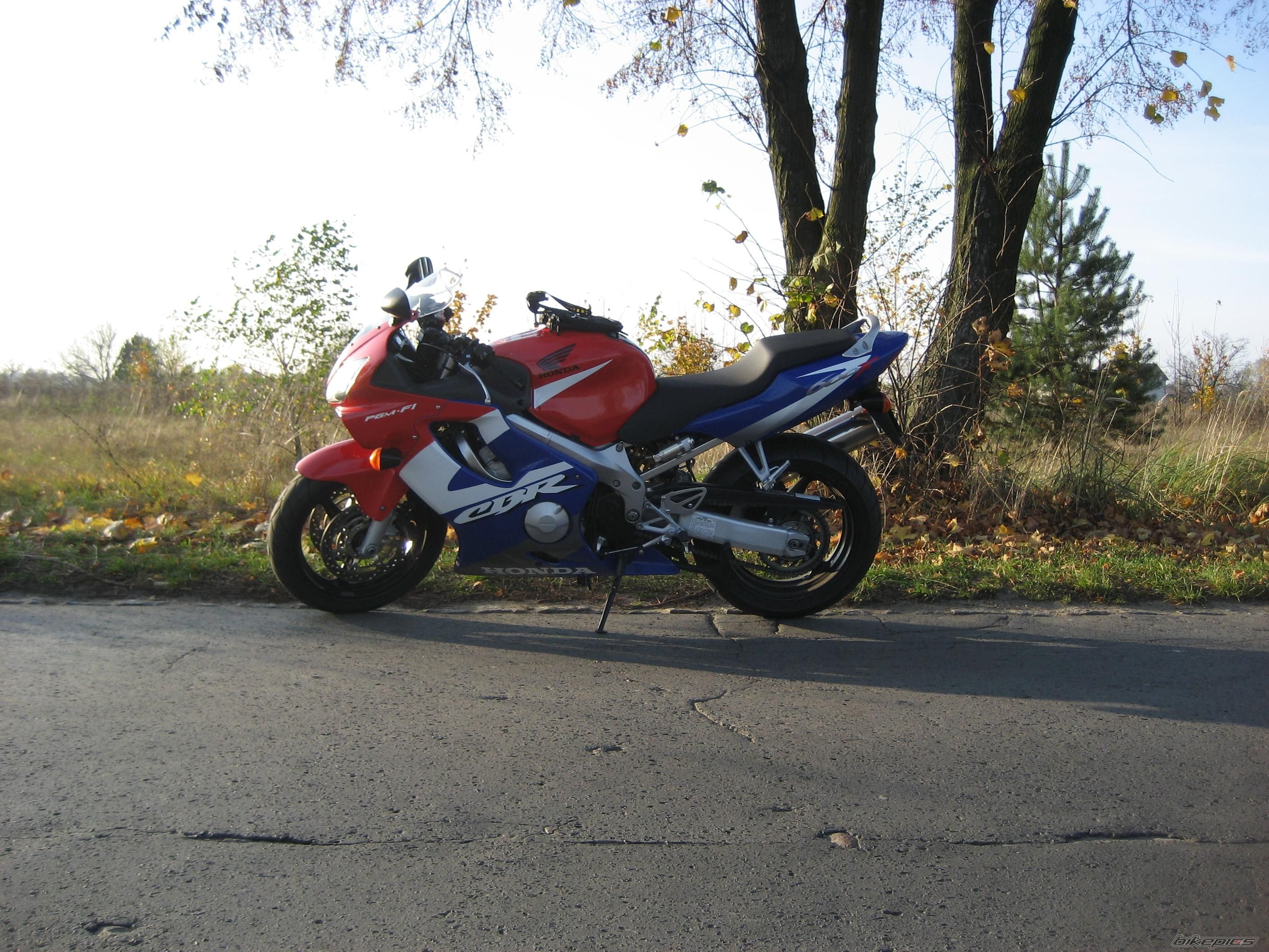 Photo 1556735