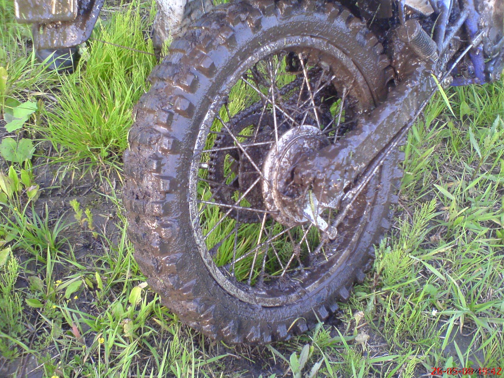 Photo 1556761