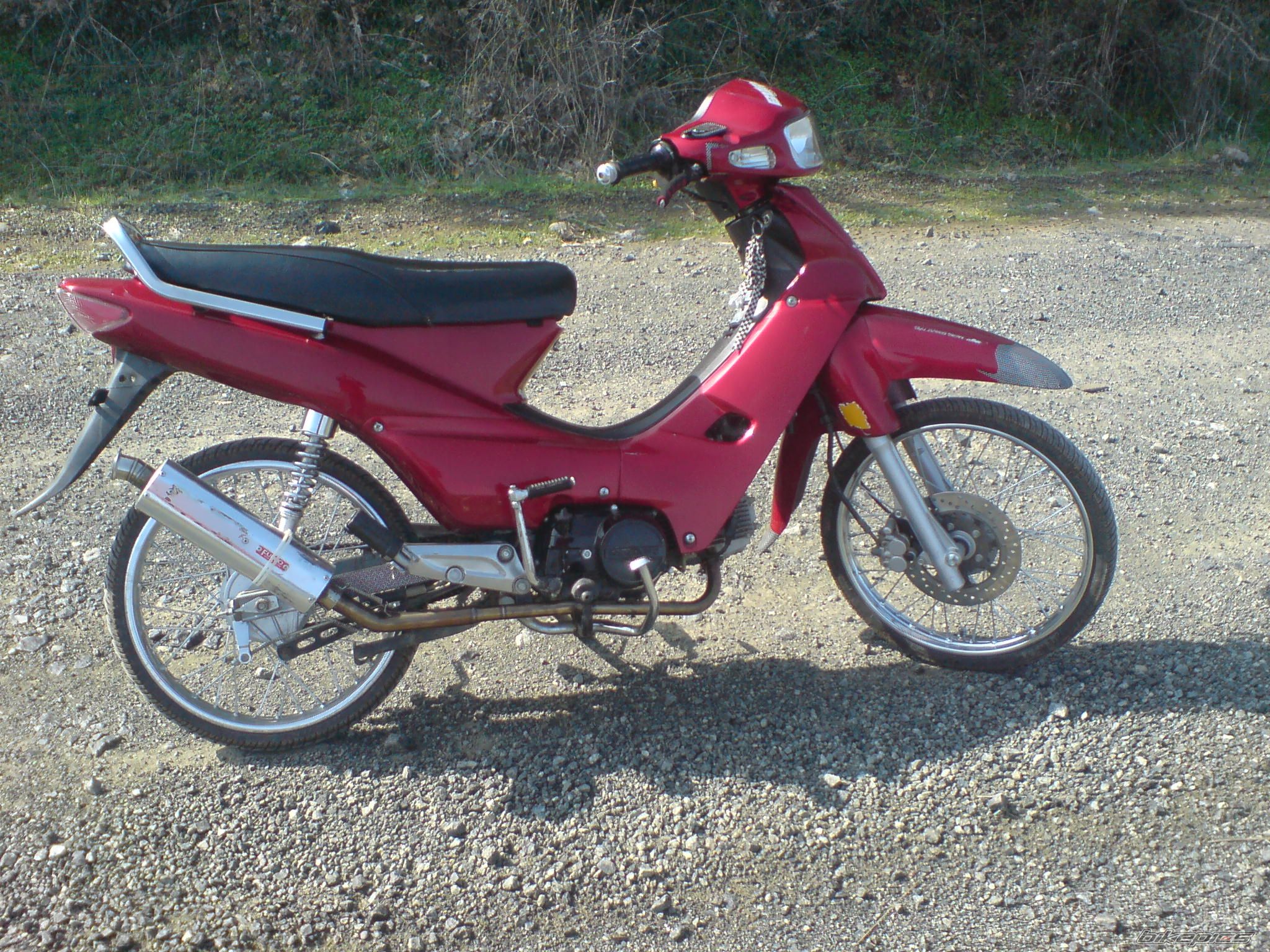 Photo 1556765