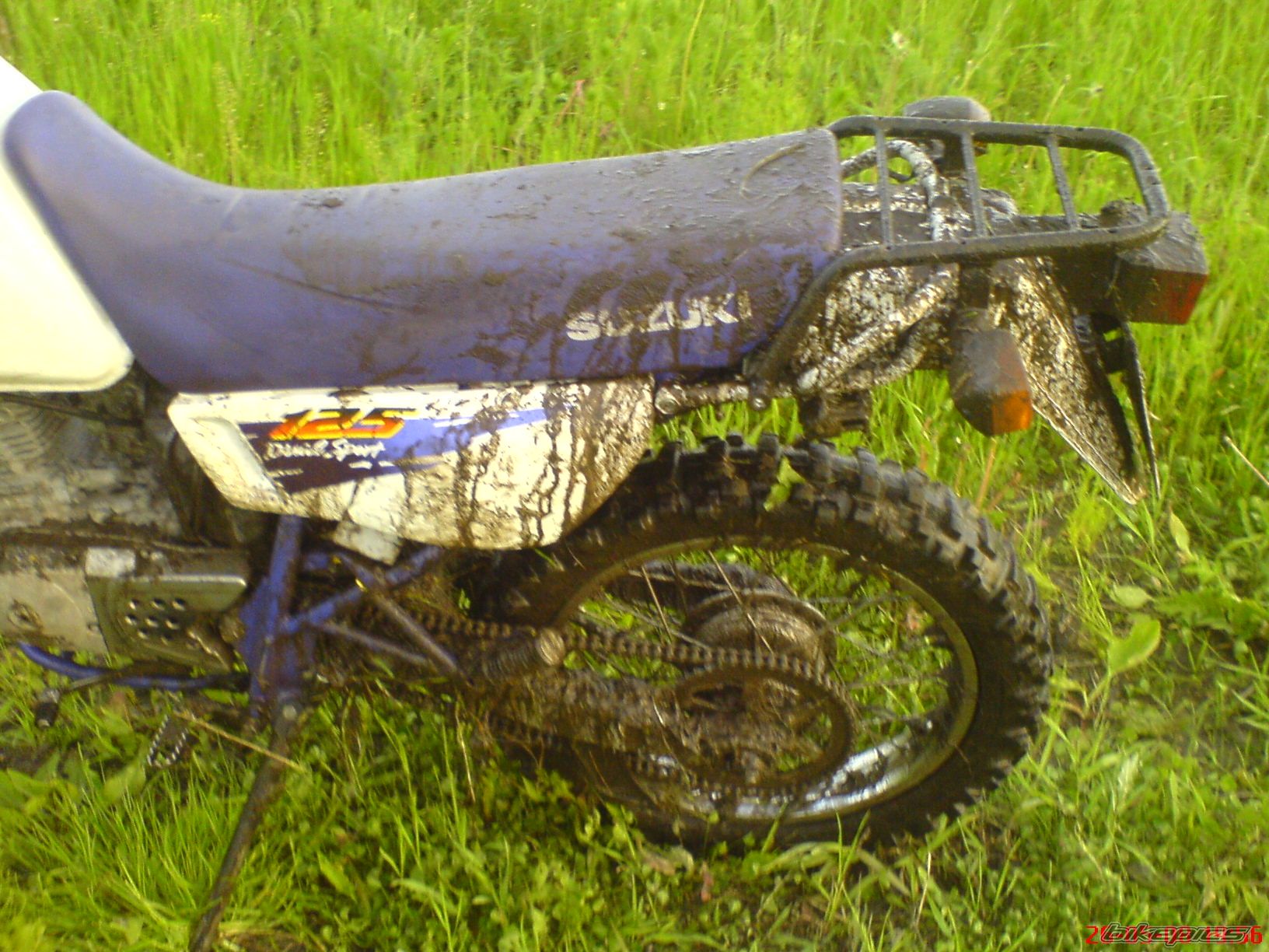 Photo 1556767