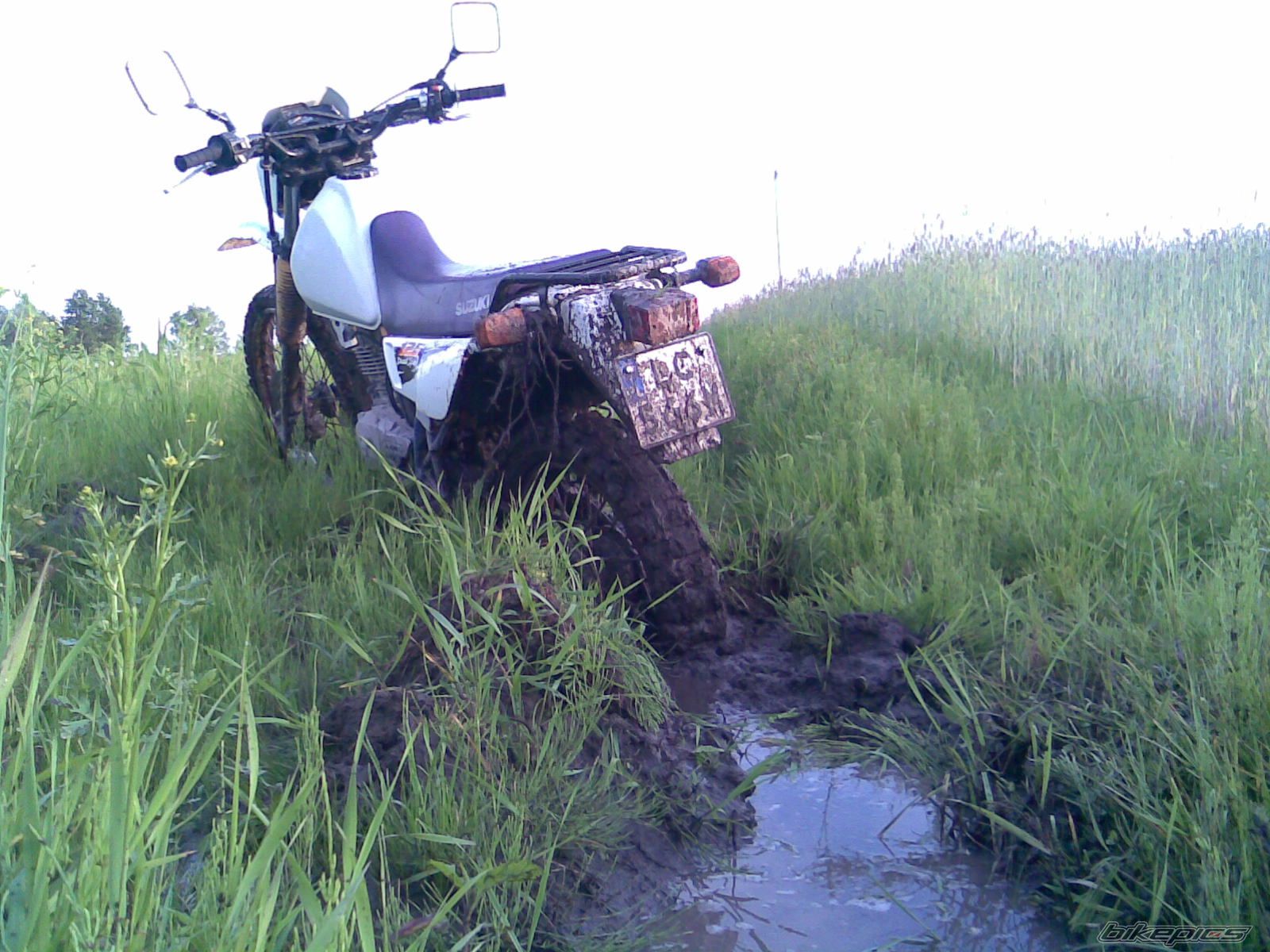 Photo 1556773