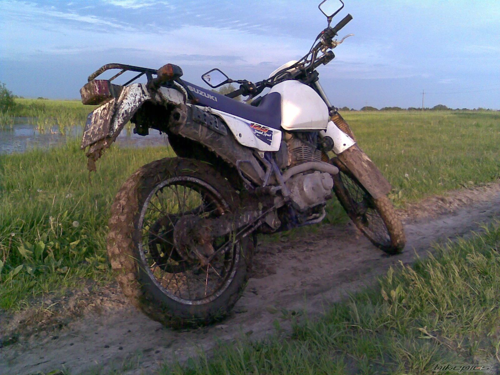 Photo 1556774