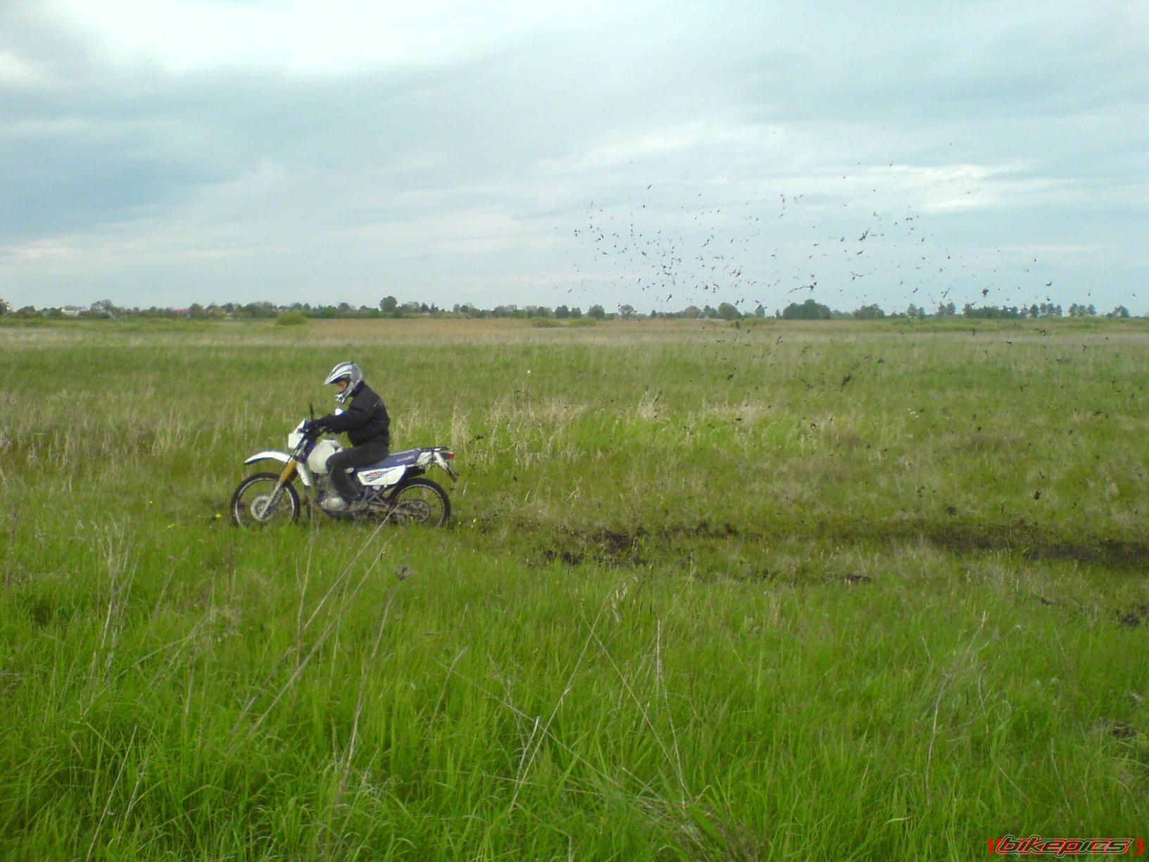 Photo 1556783