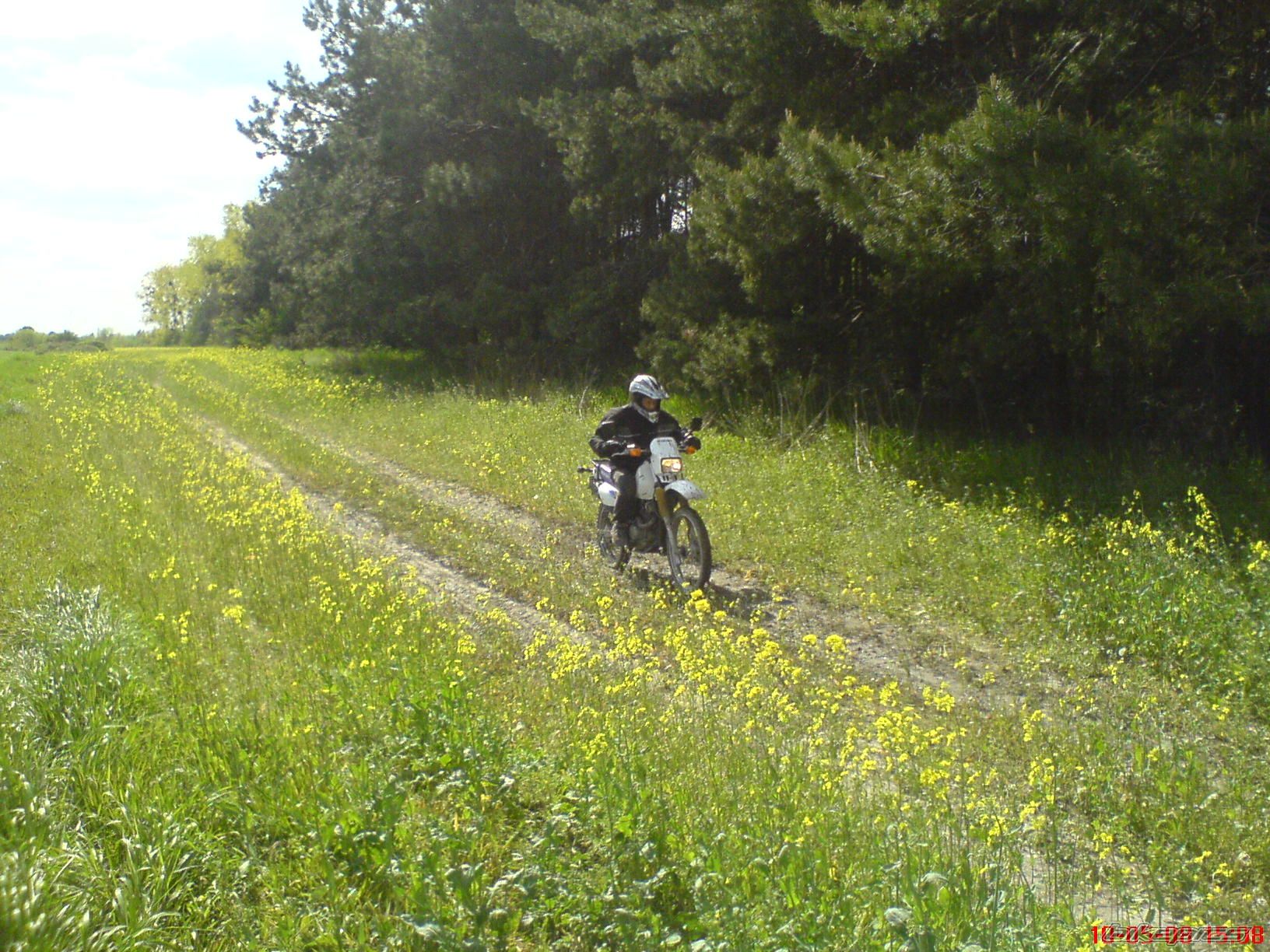 Photo 1556788