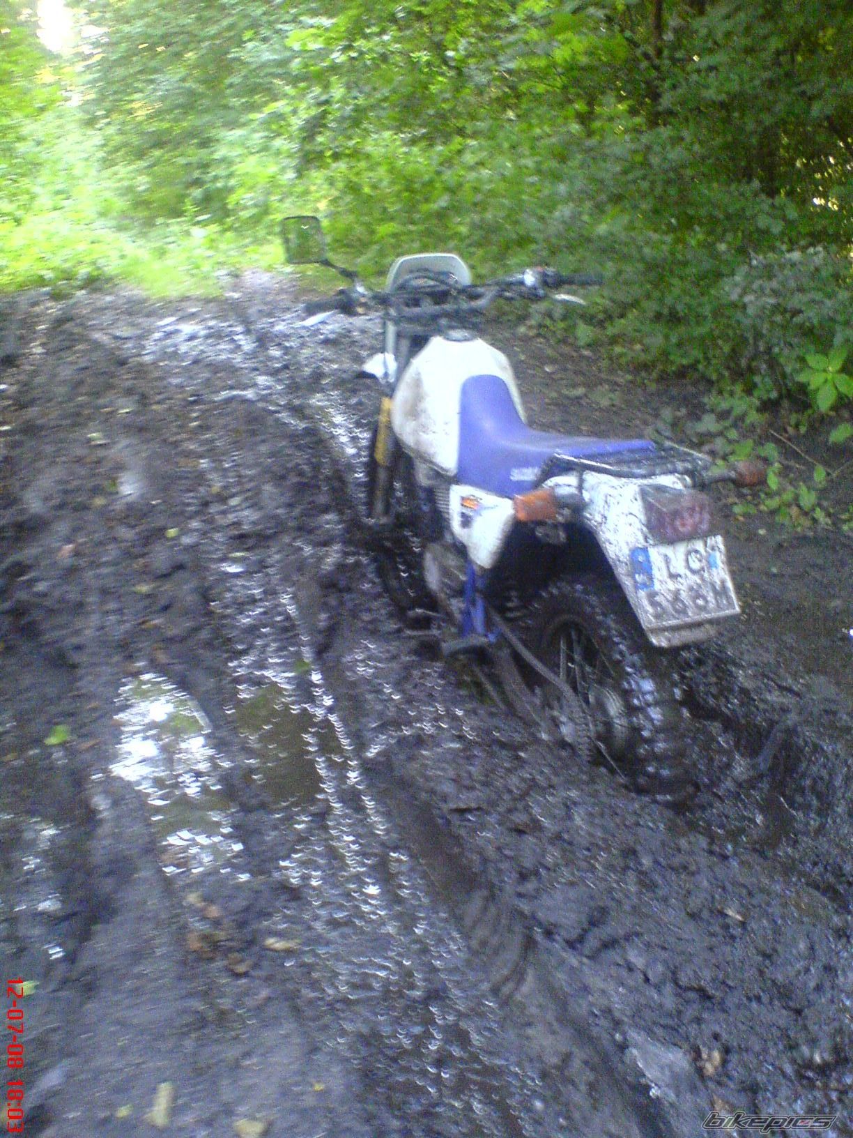 Photo 1556792