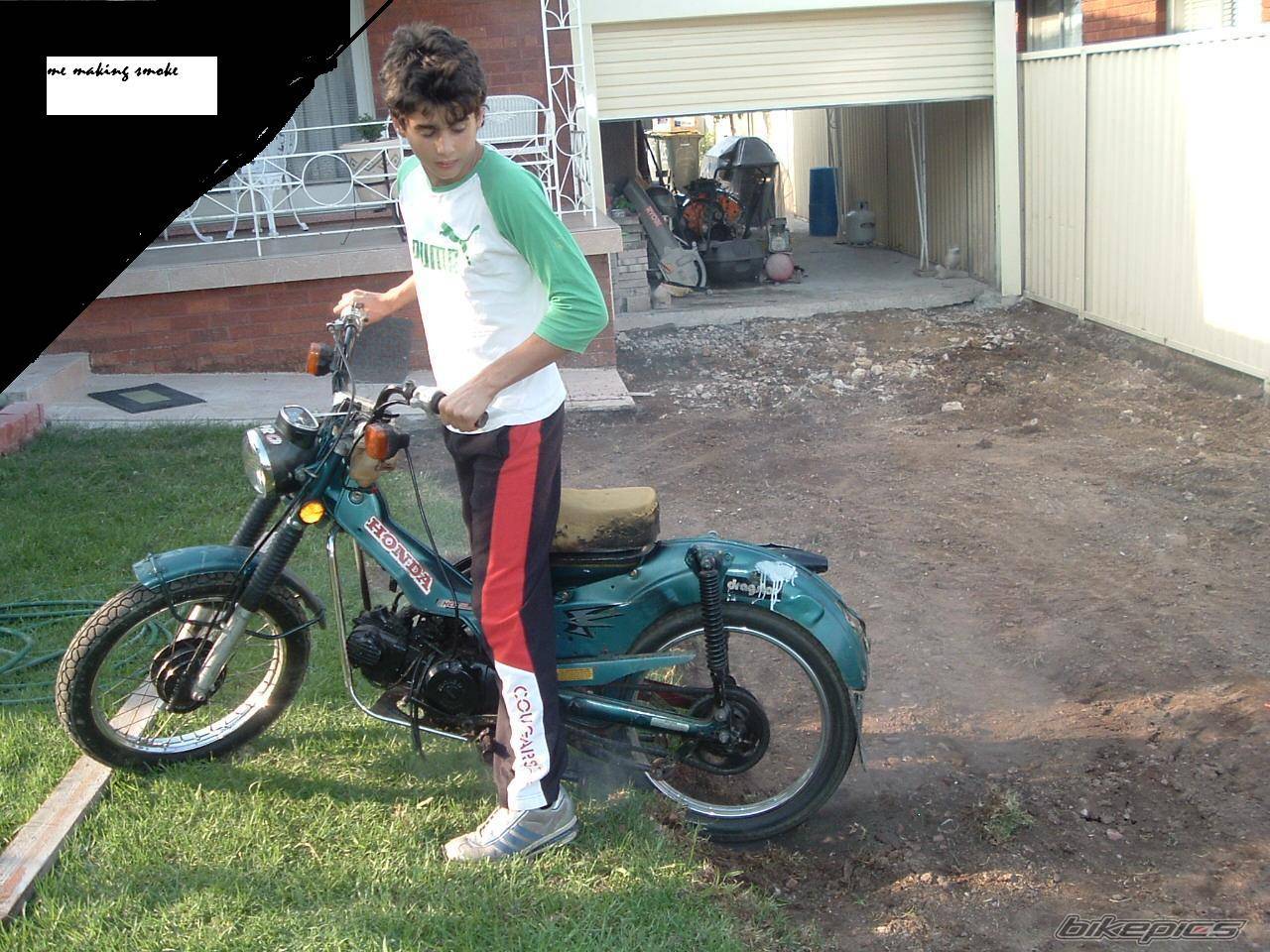 Photo 155680