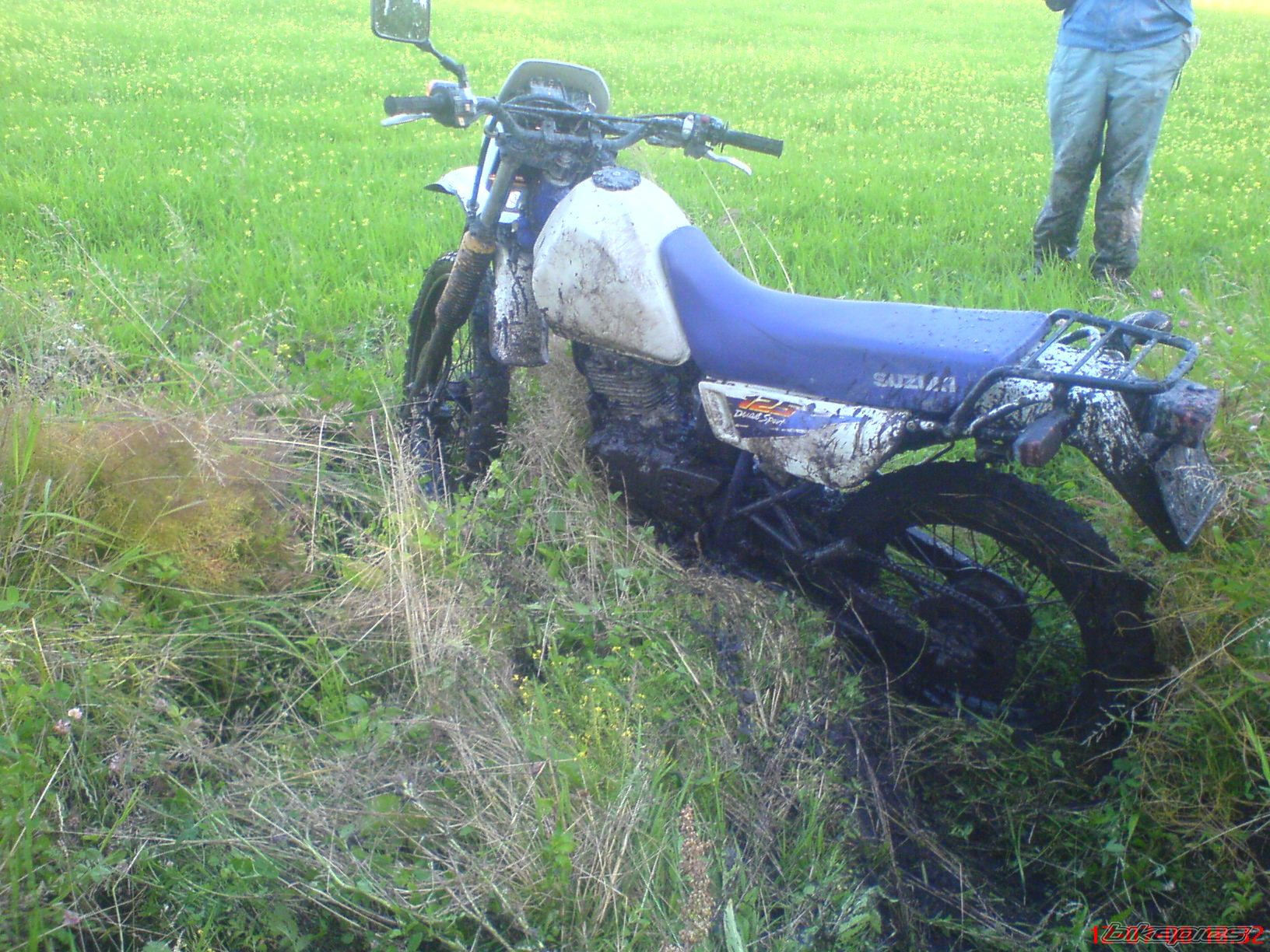Photo 1556812