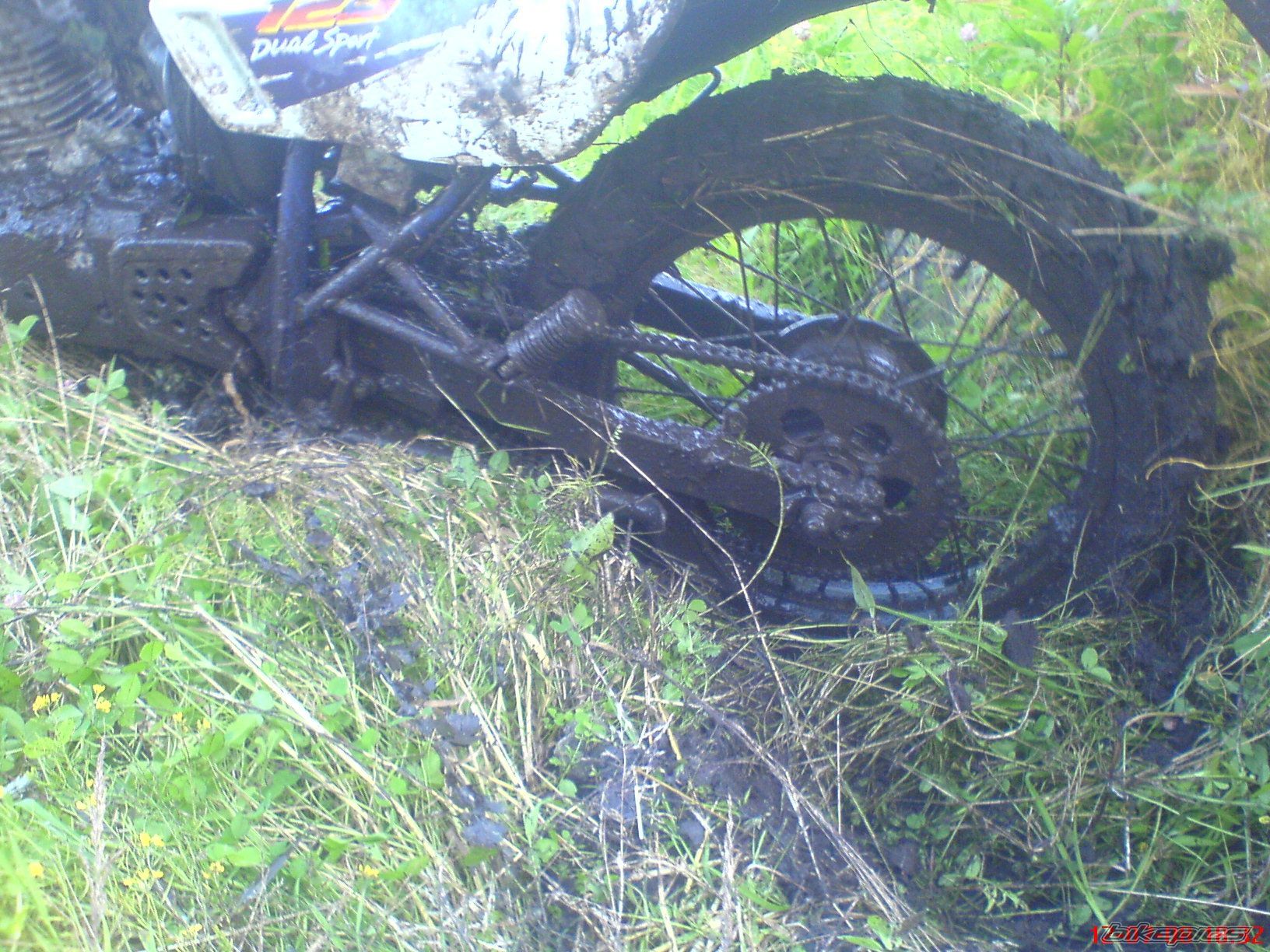 Photo 1556814