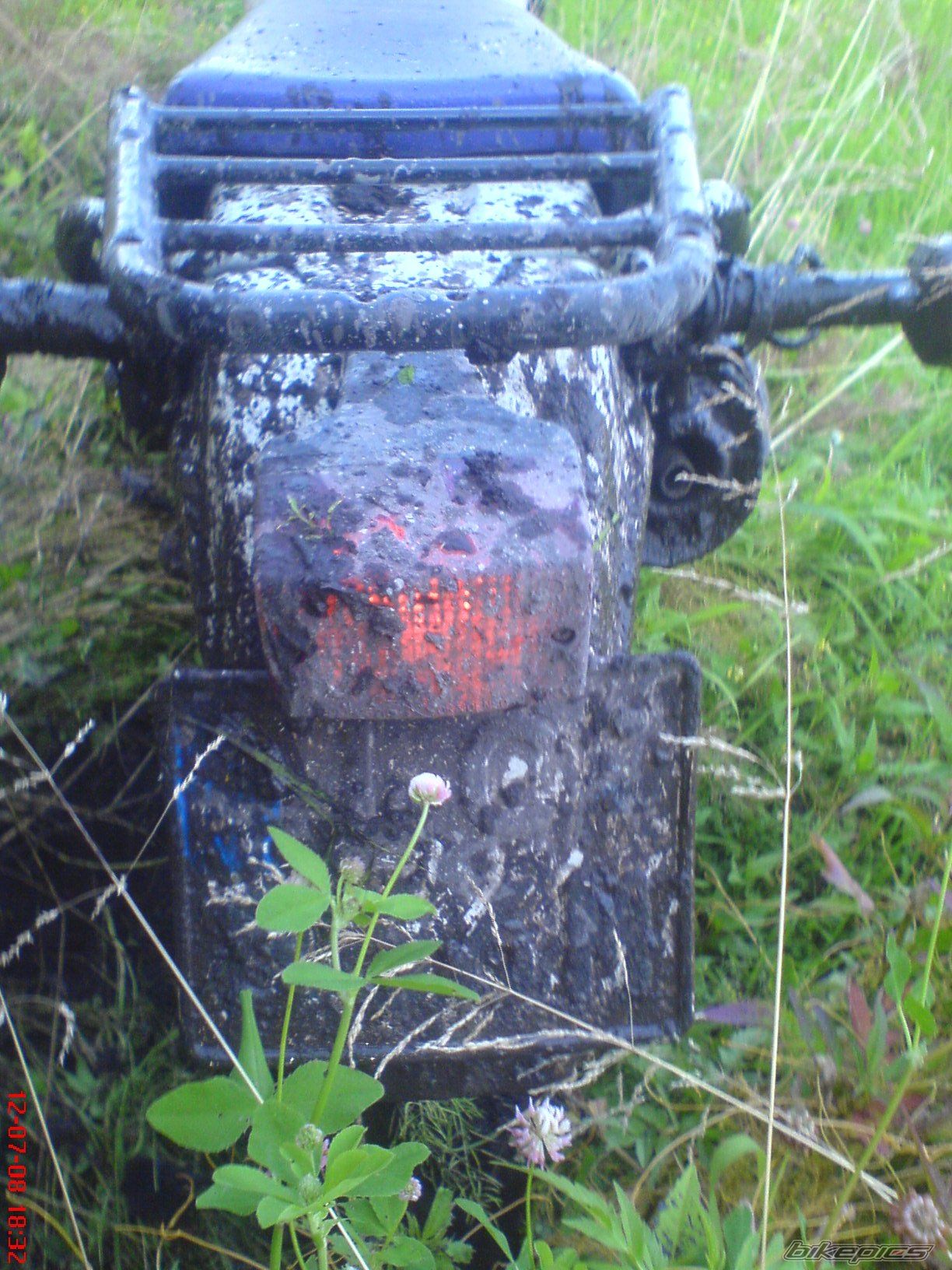 Photo 1556815