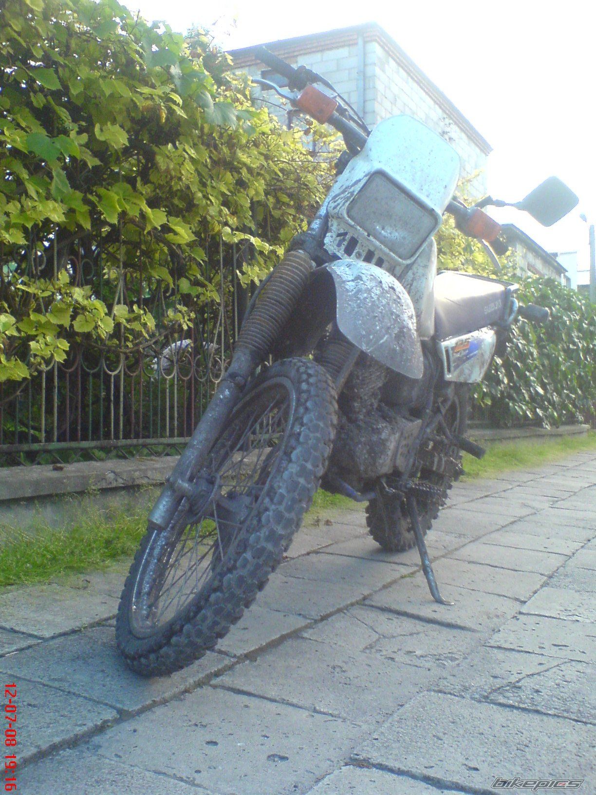Photo 1556817