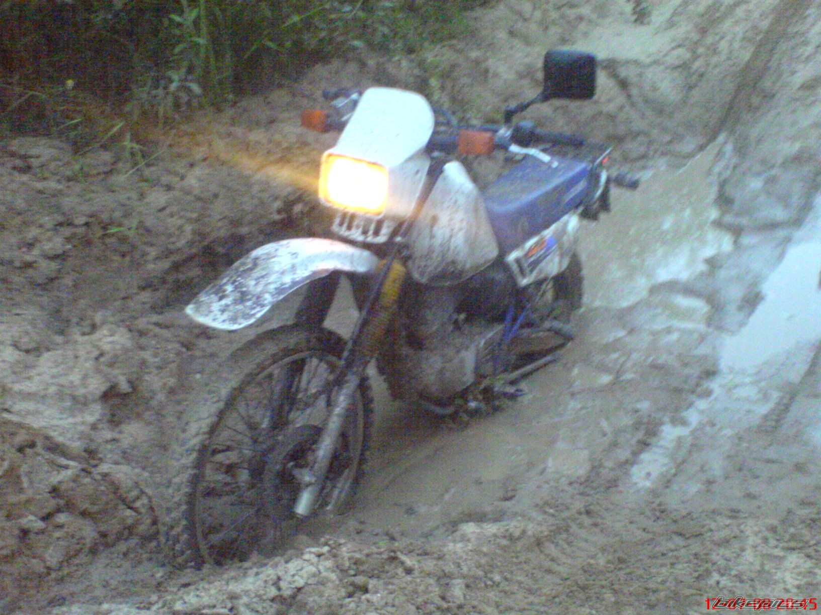 Photo 1556820