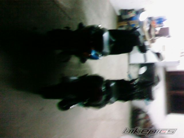 Photo 1556822
