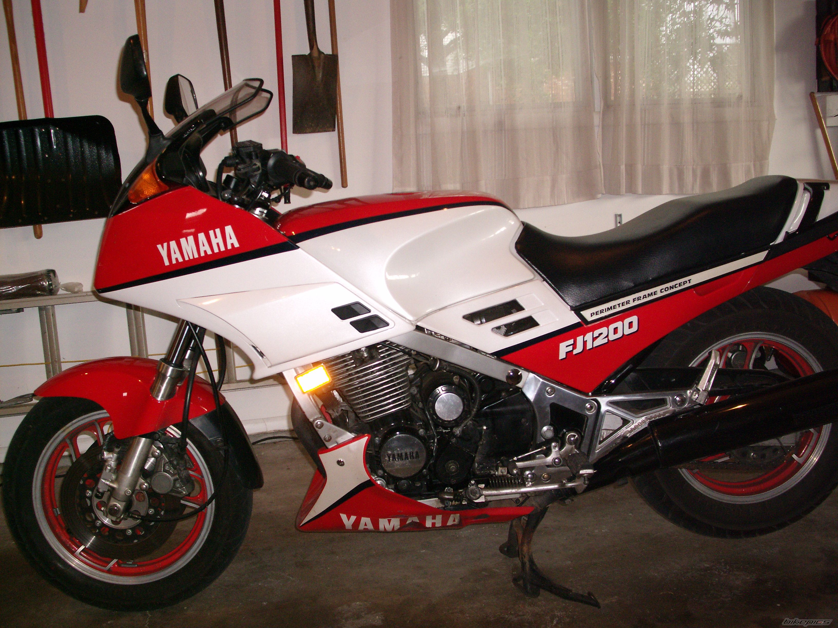 Photo 1556823
