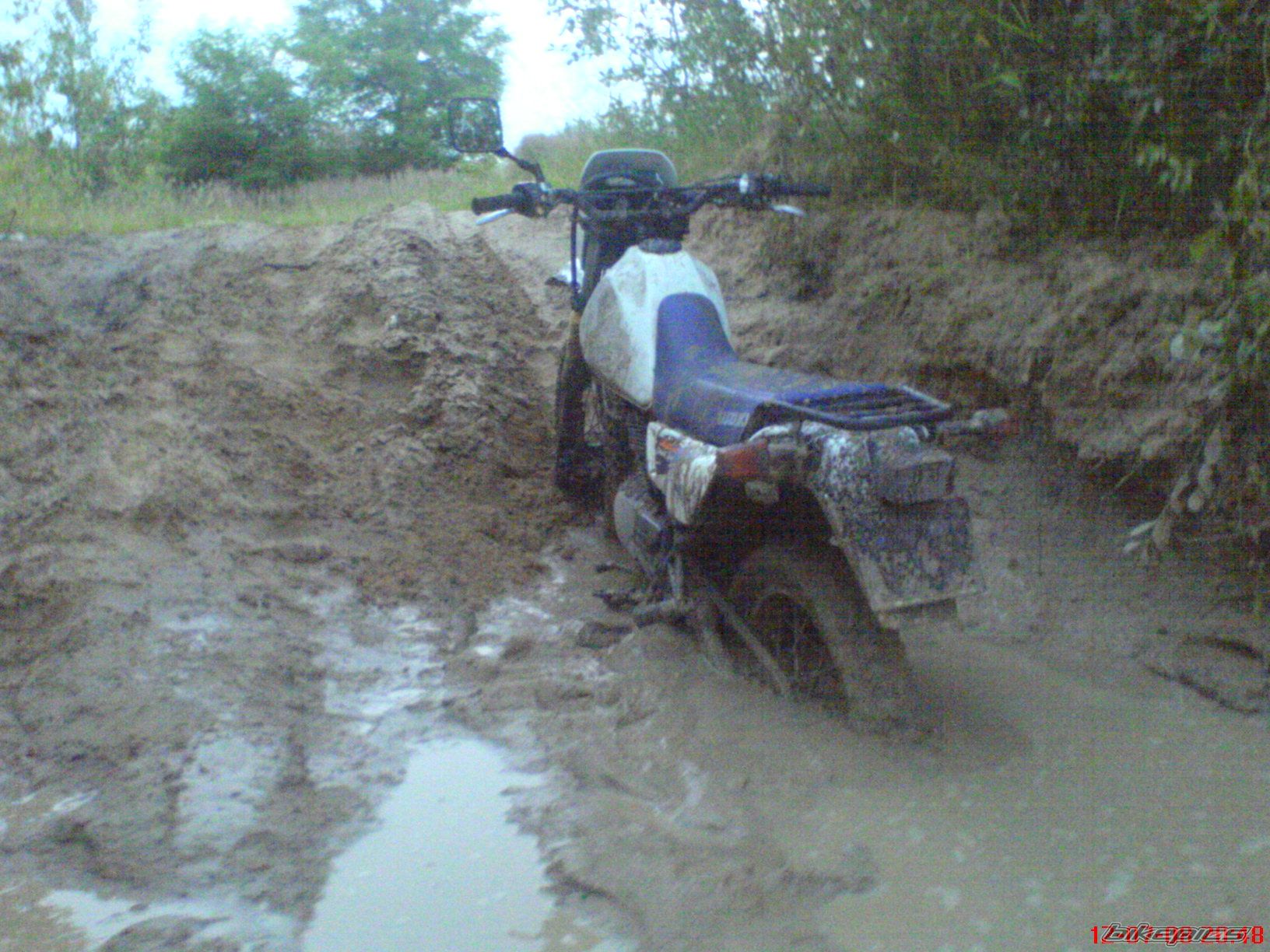 Photo 1556827