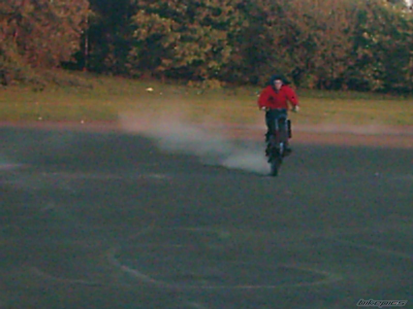 Photo 155685