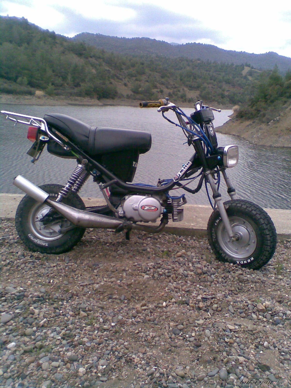 Photo 1556852