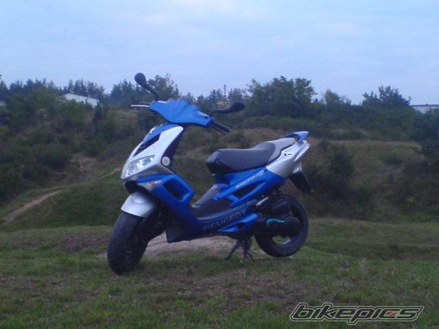 Photo 1556866