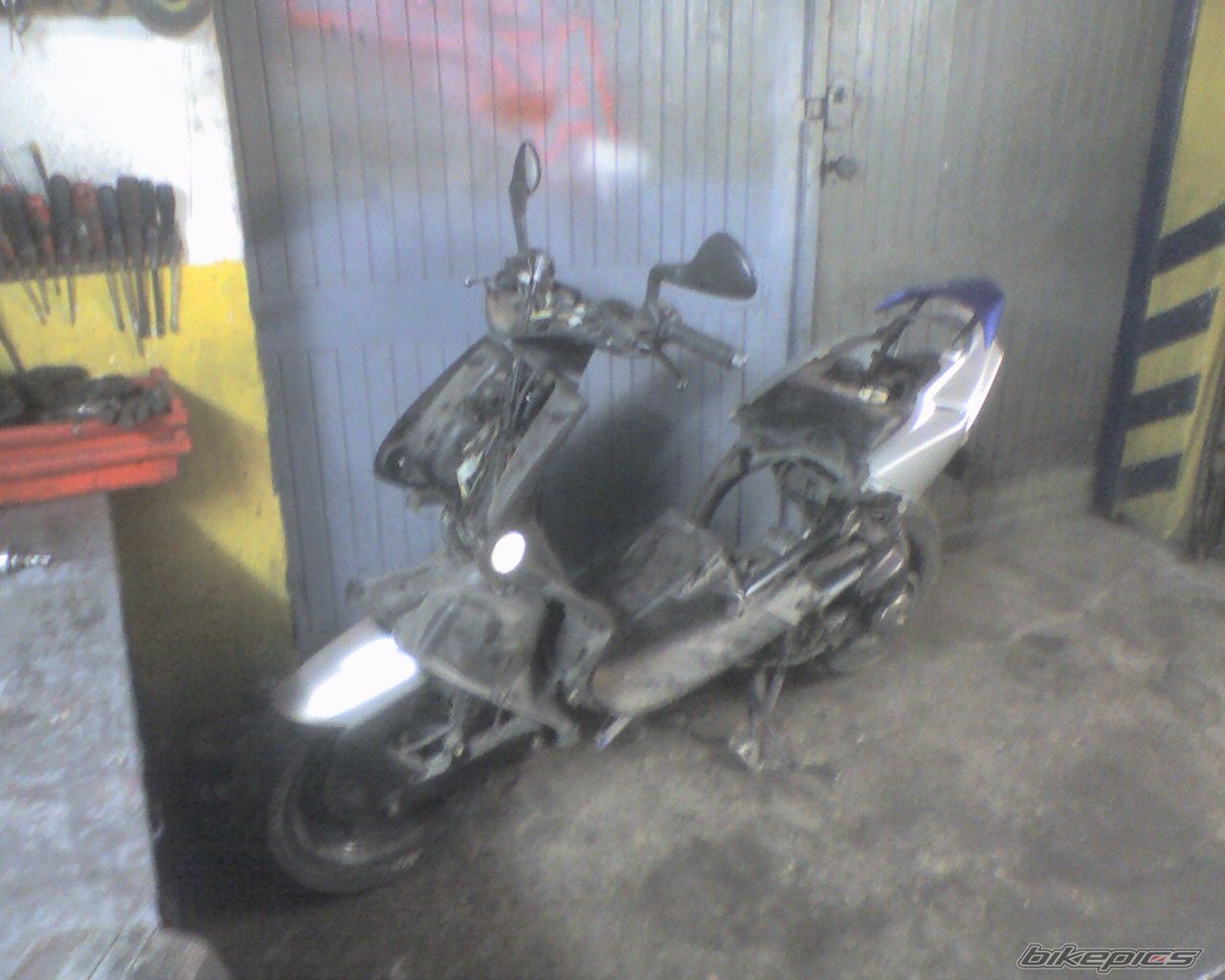 Photo 1556868