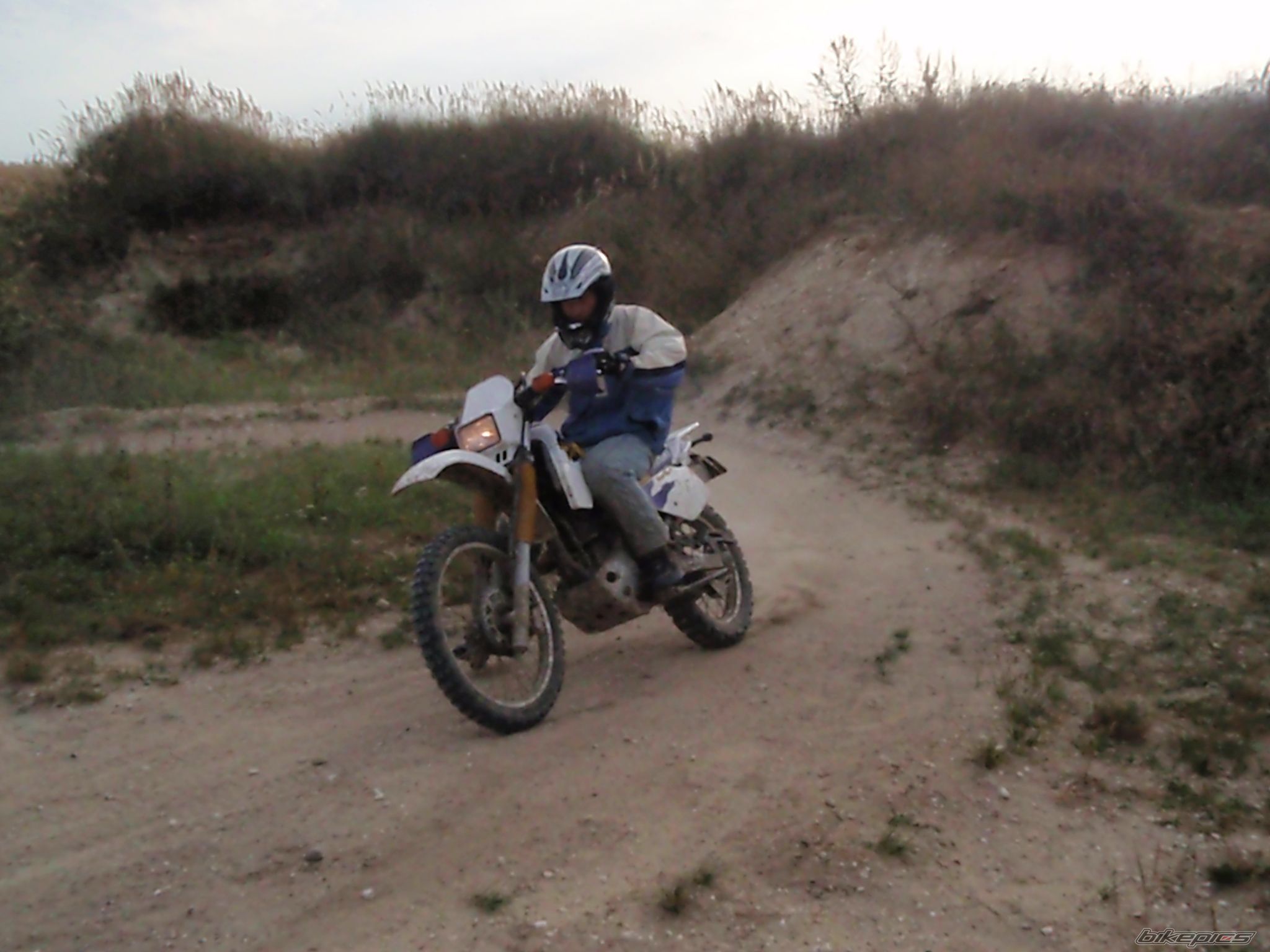 Photo 1556887