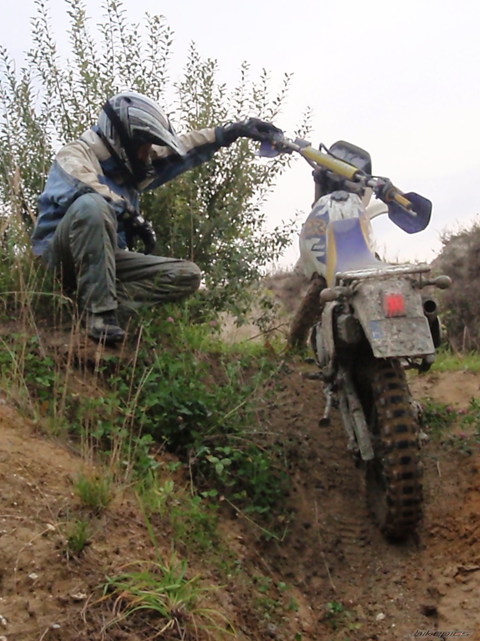 Photo 1556902