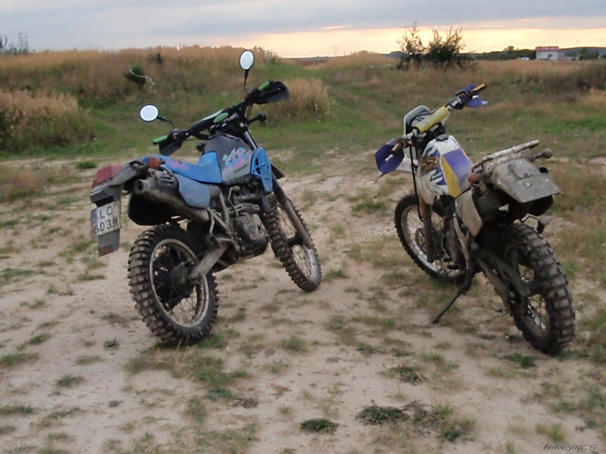 Photo 1556904