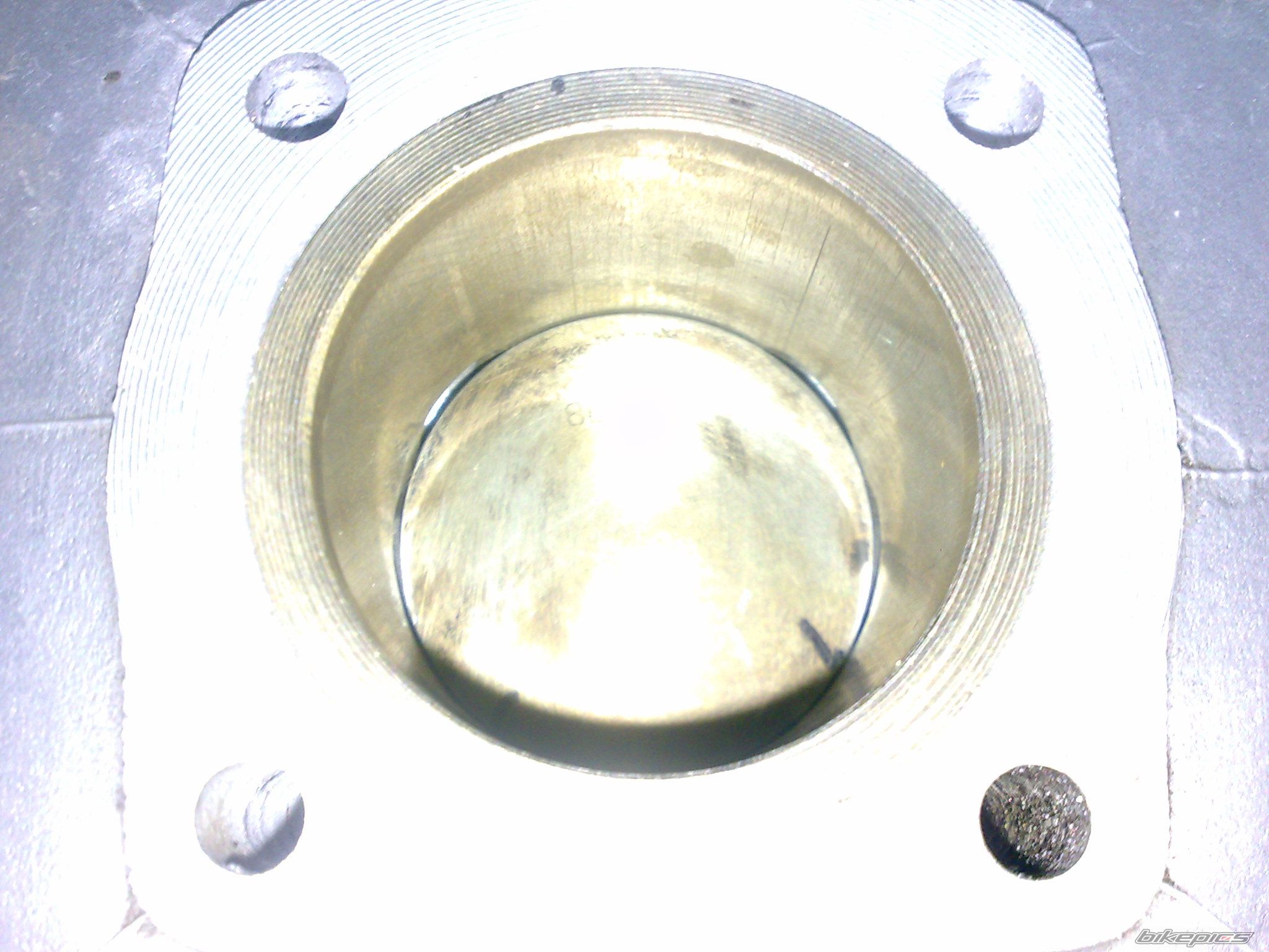 Photo 1556905
