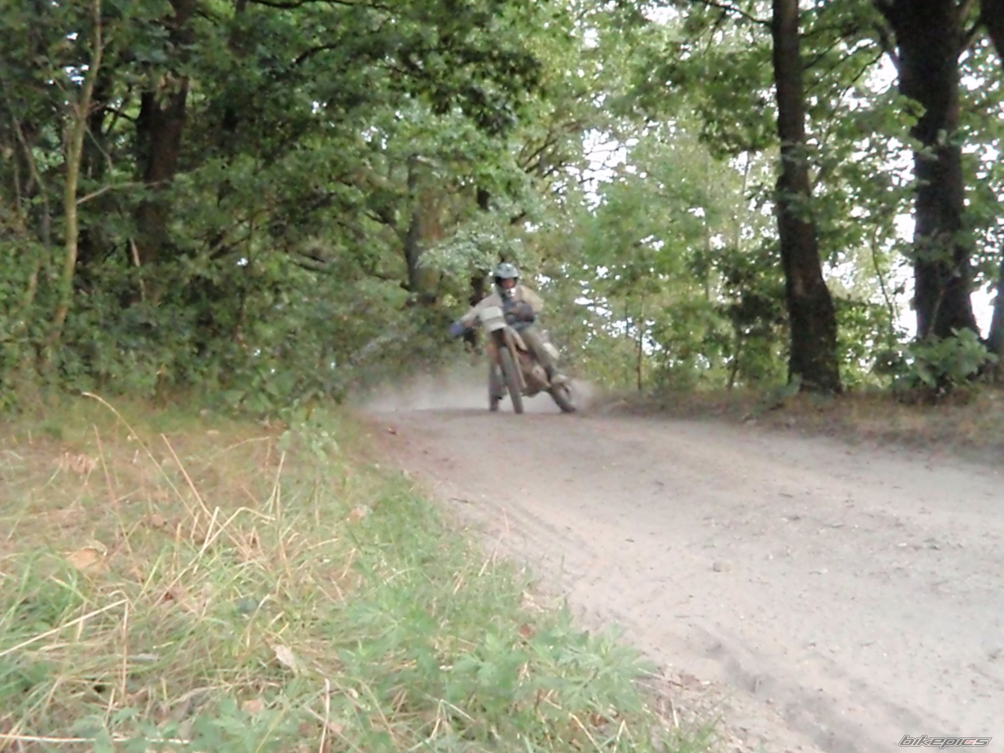 Photo 1556910