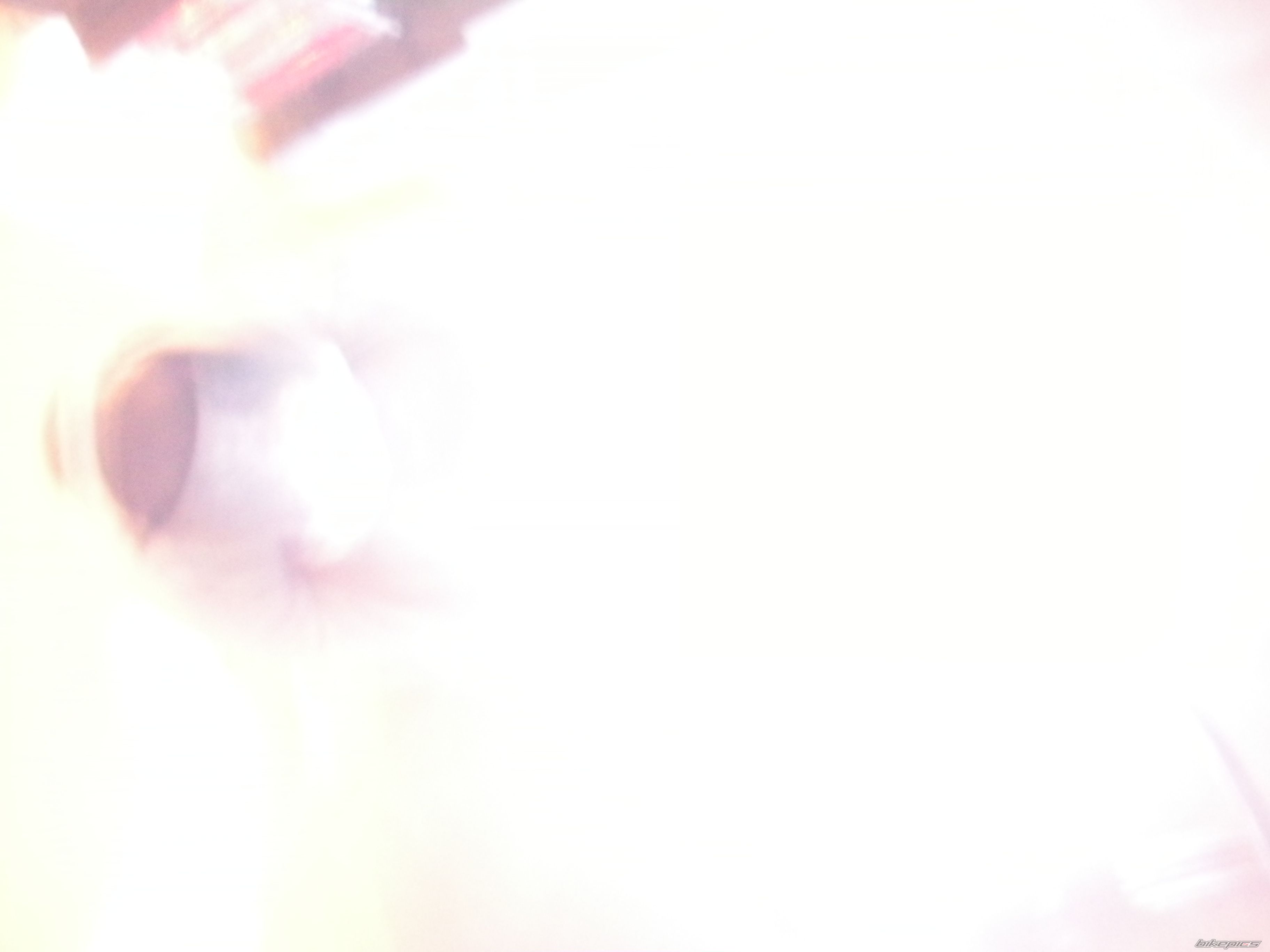 Photo 1556912