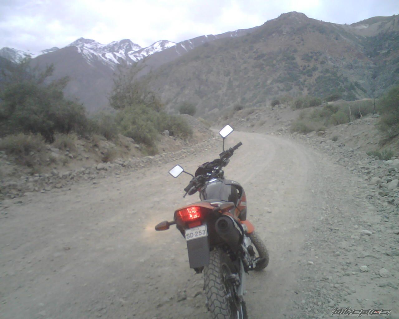 Photo 1557007