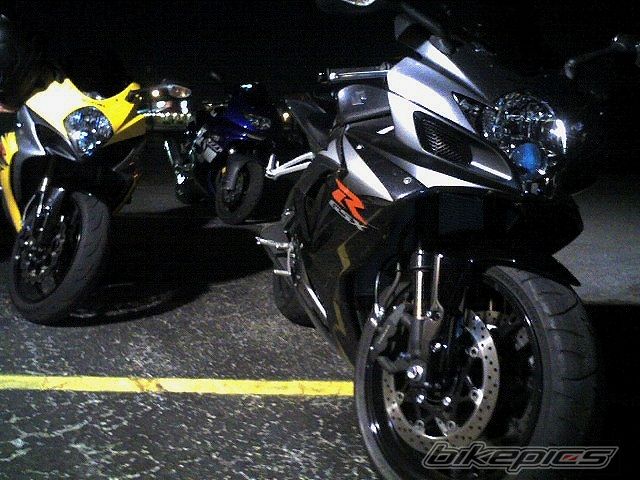 Photo 1557022