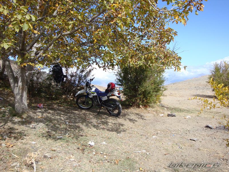 Photo 1557127