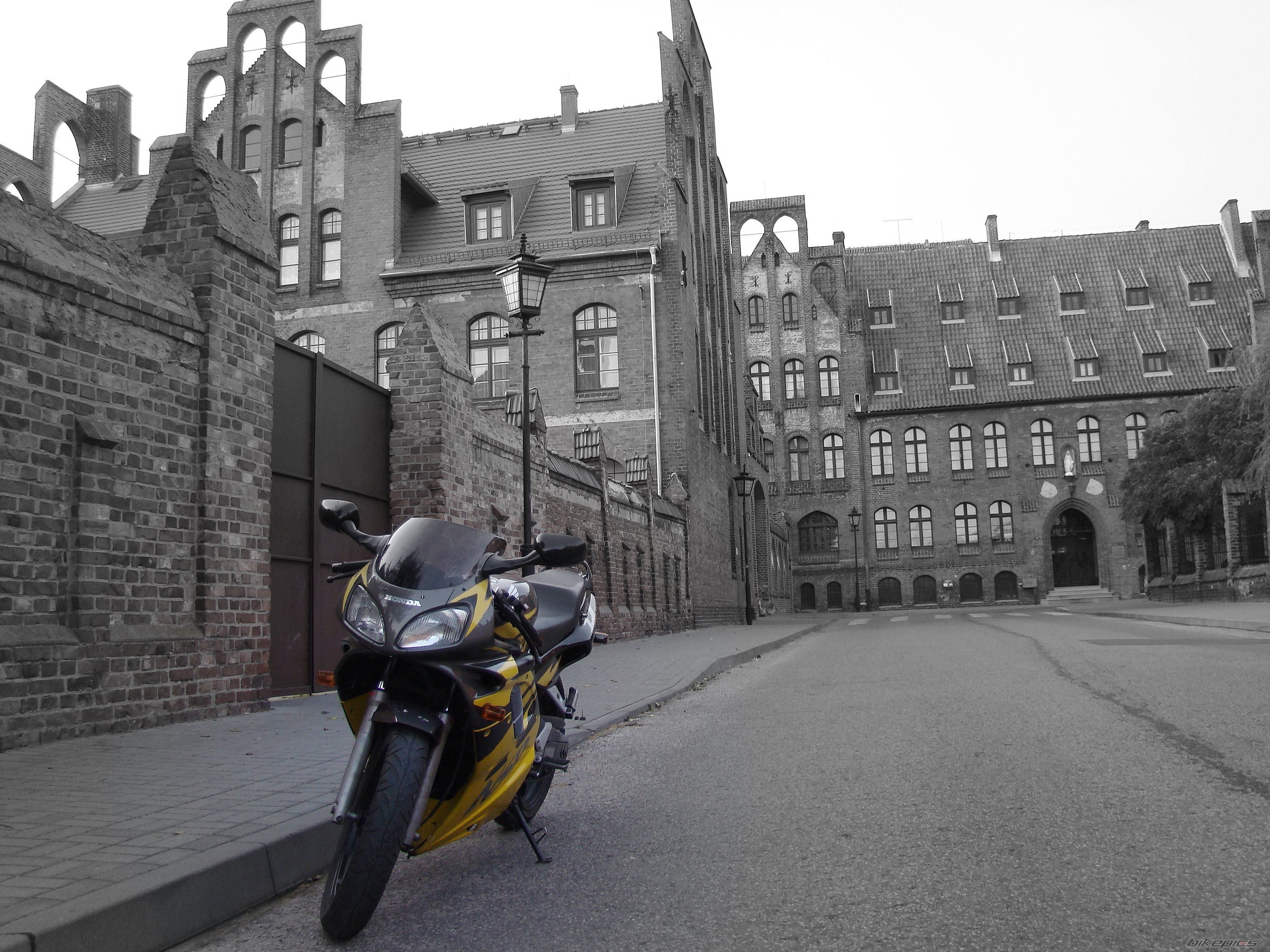 Photo 1557143