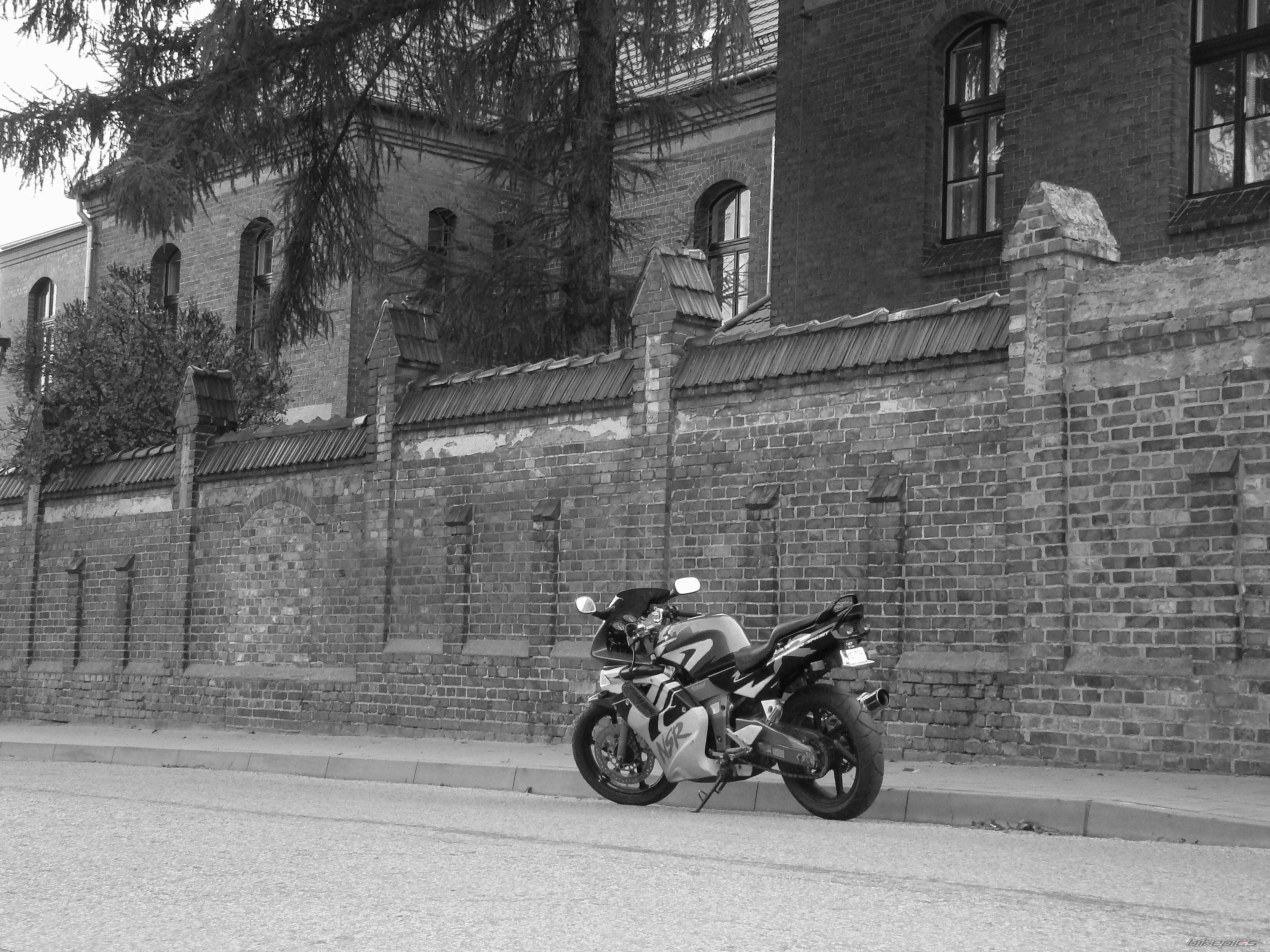 Bike Photo 1557165