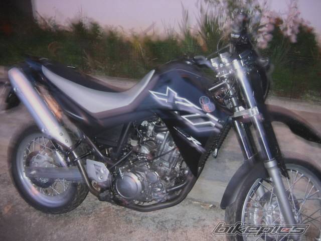 Photo 155717