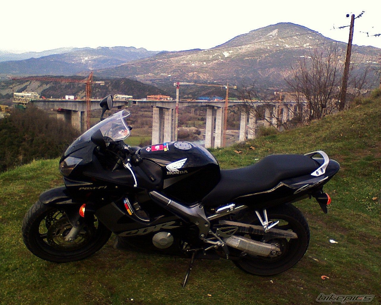 Photo 1557170