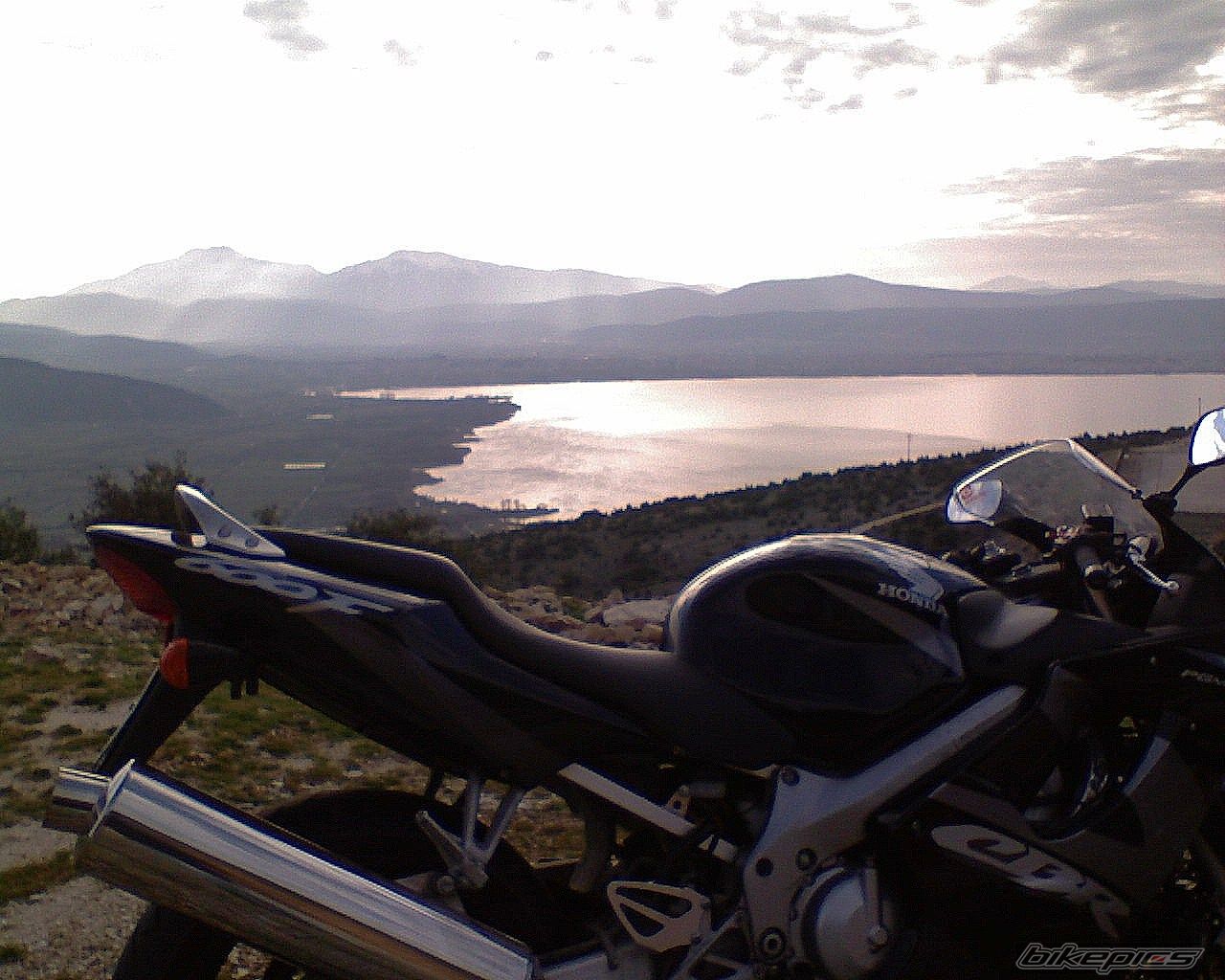 Photo 1557171