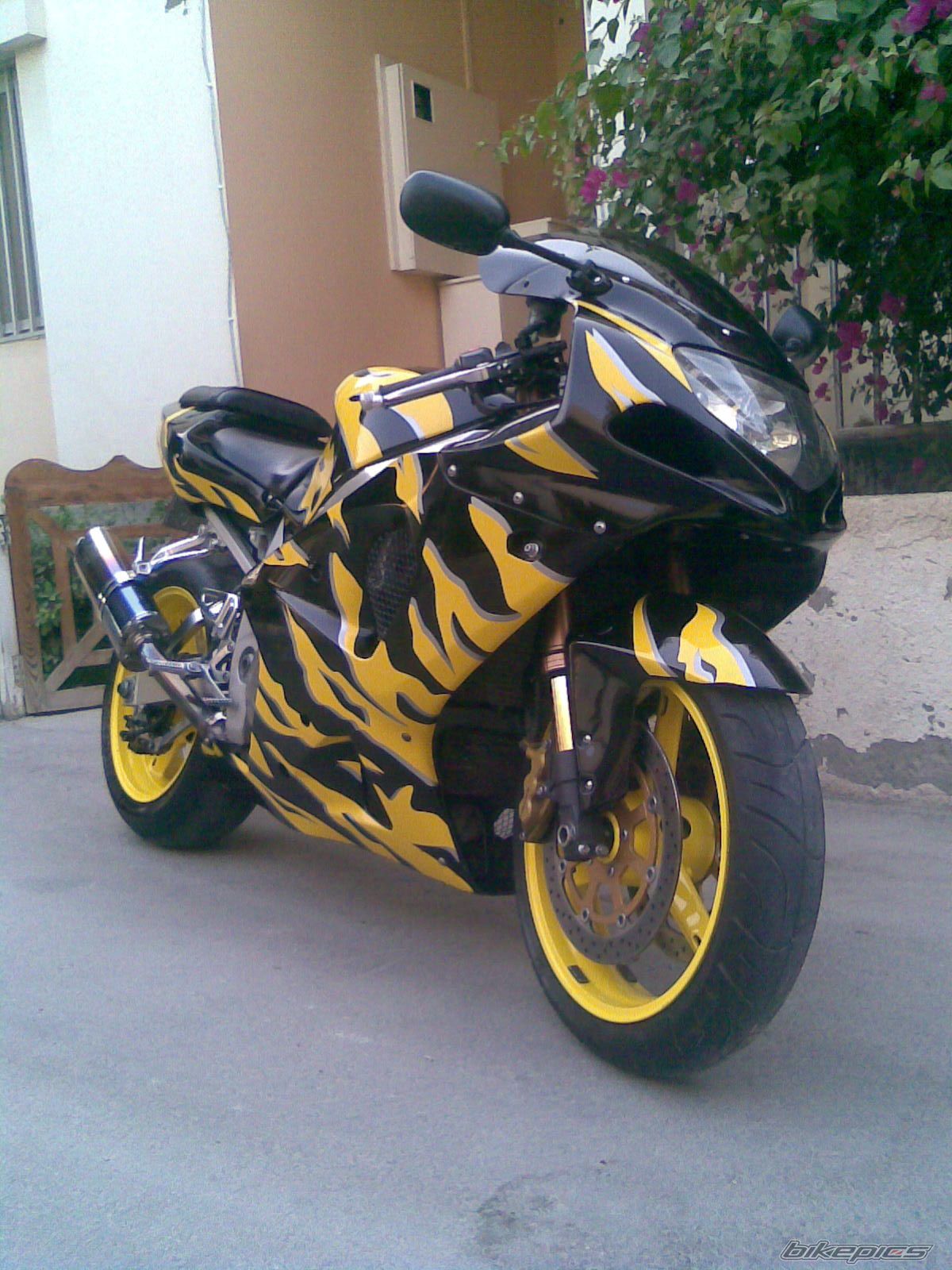 Photo 1557176