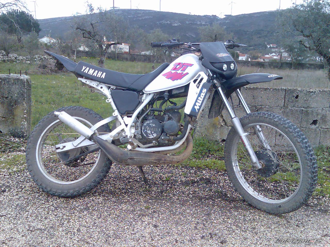 Photo 1557178