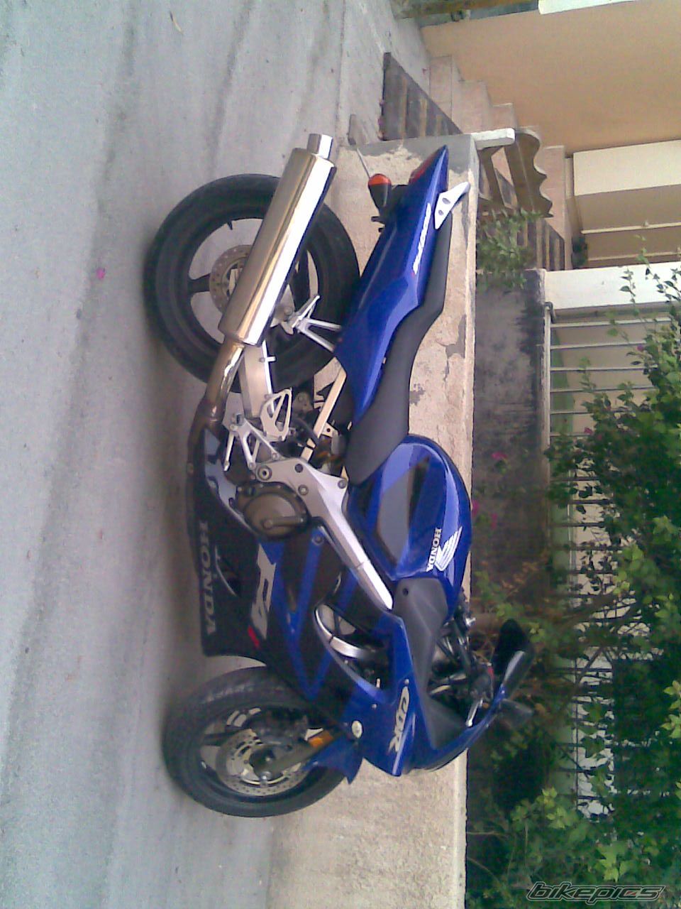 Photo 1557183