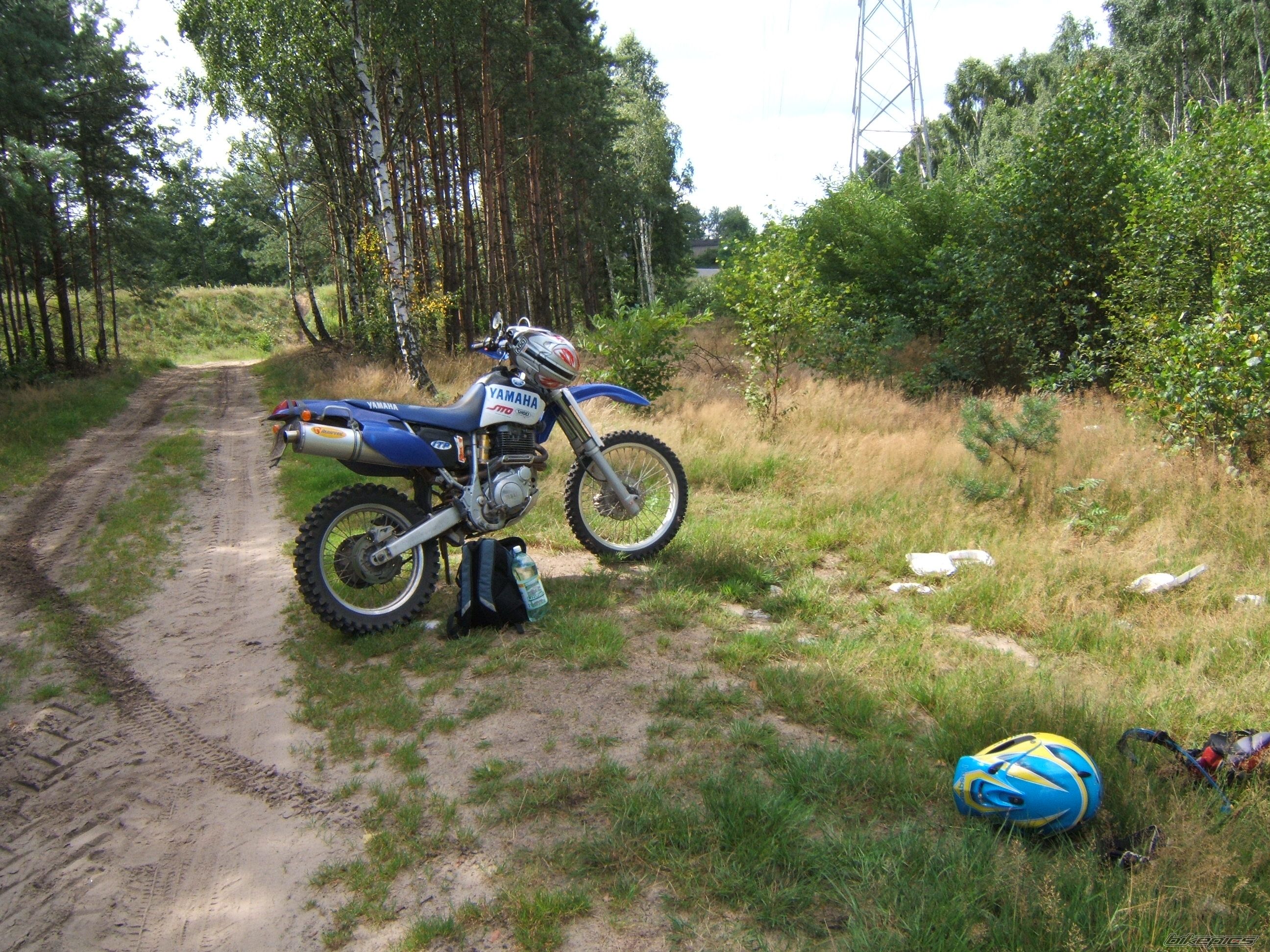 Photo 1557205