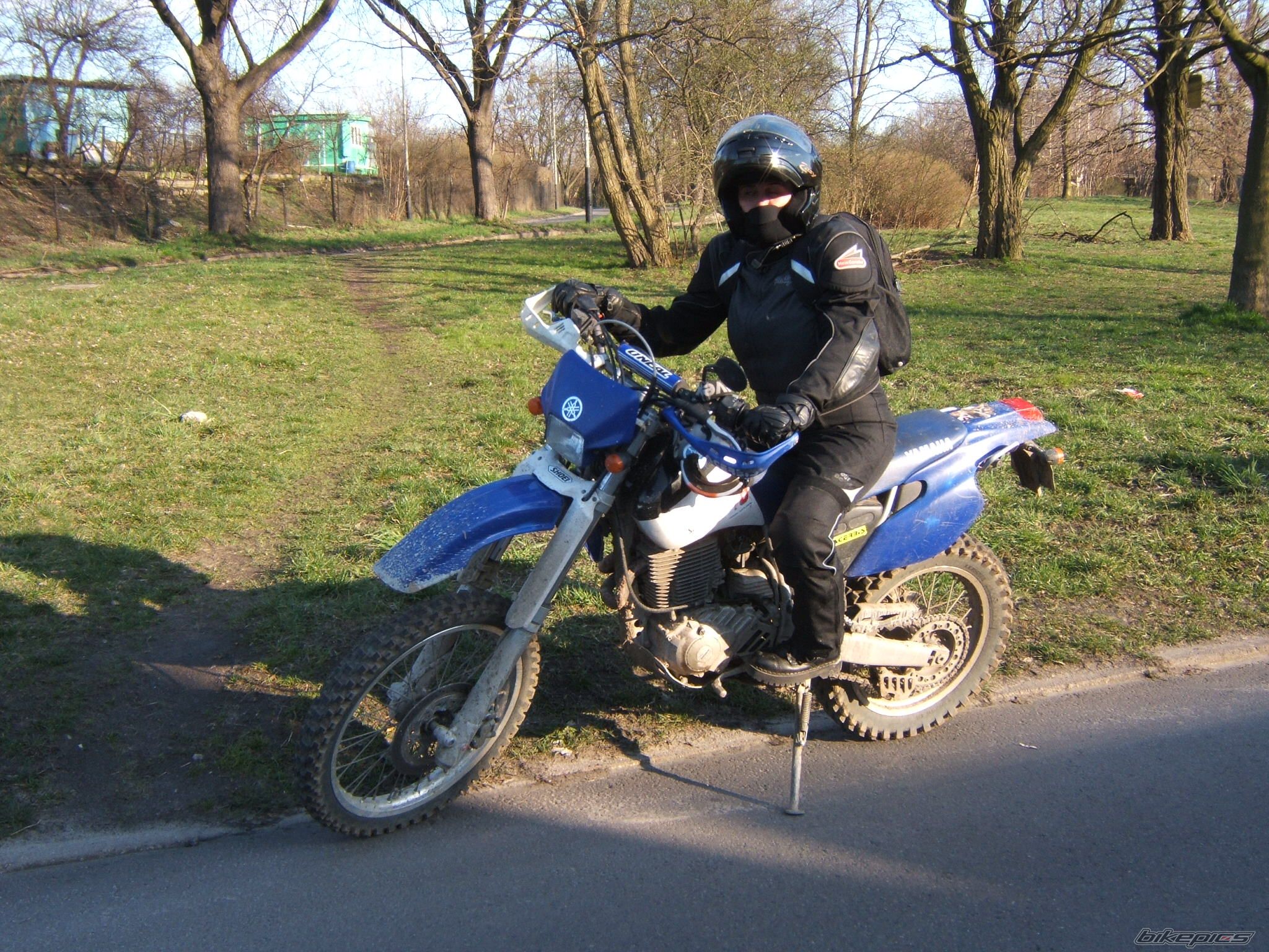 Photo 1557207