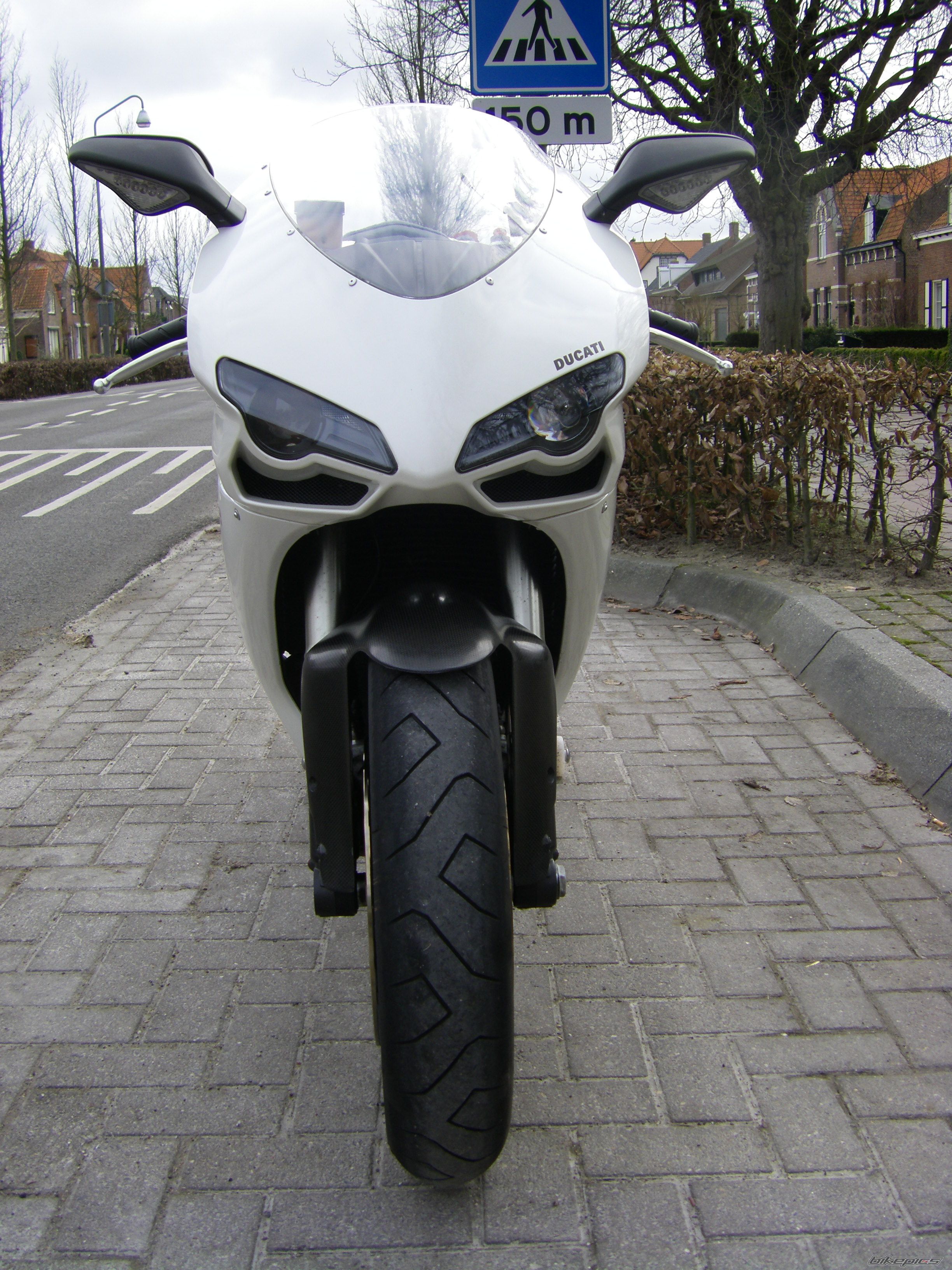 Photo 1557264