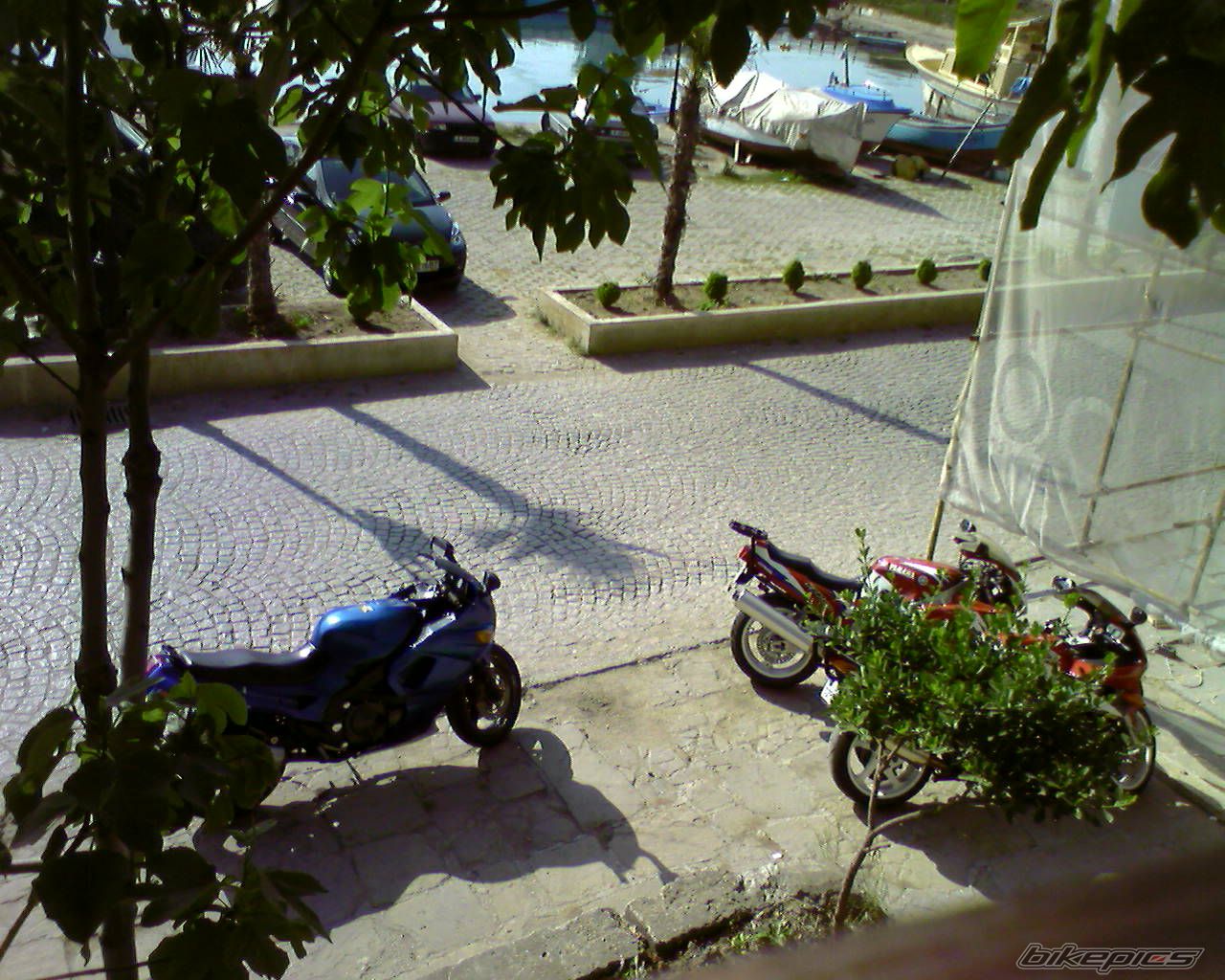 Photo 1557365