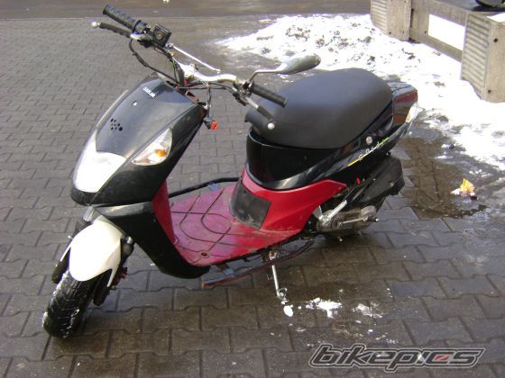 Photo 1557378