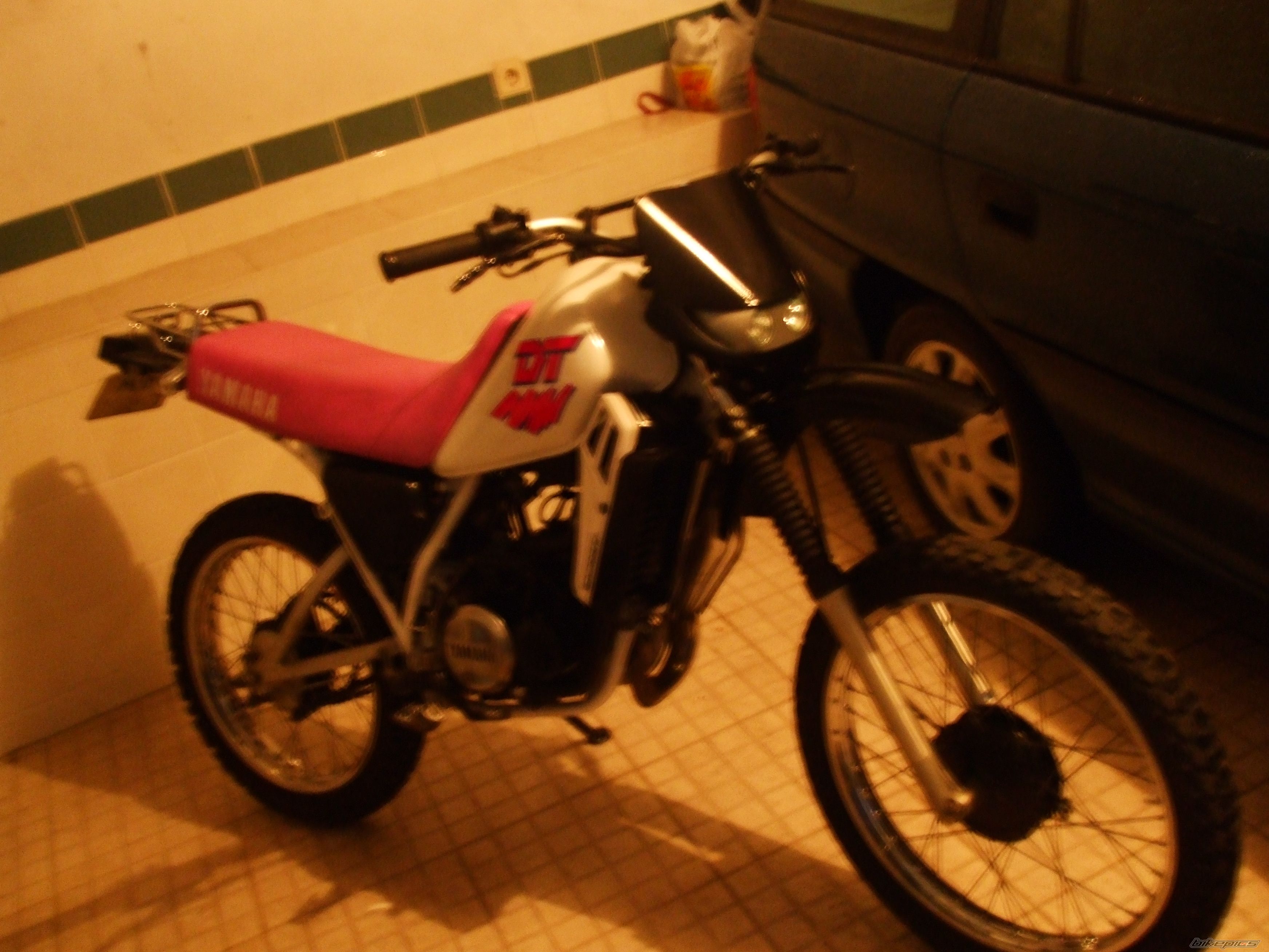 Photo 1557379