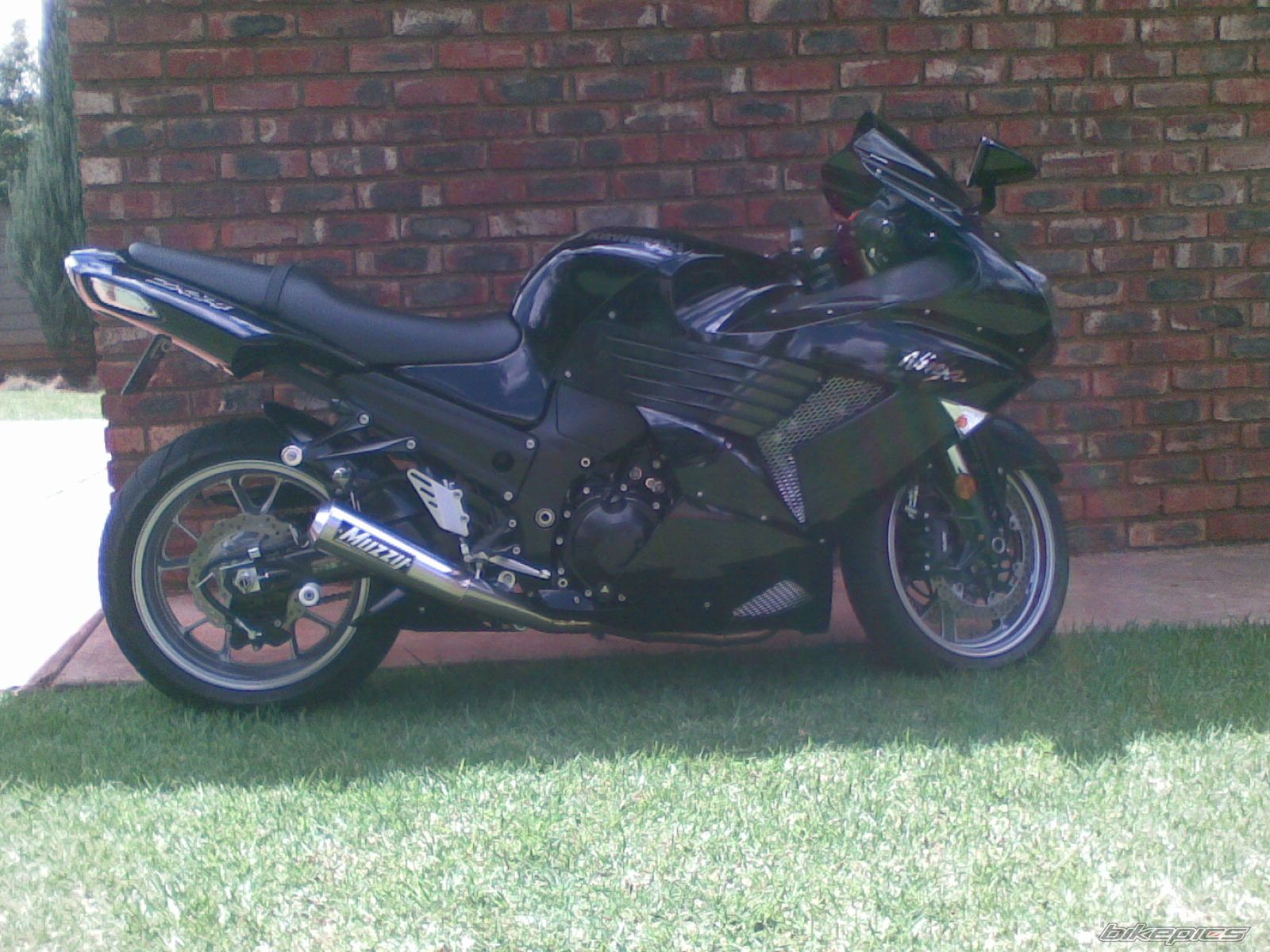Photo 1557381