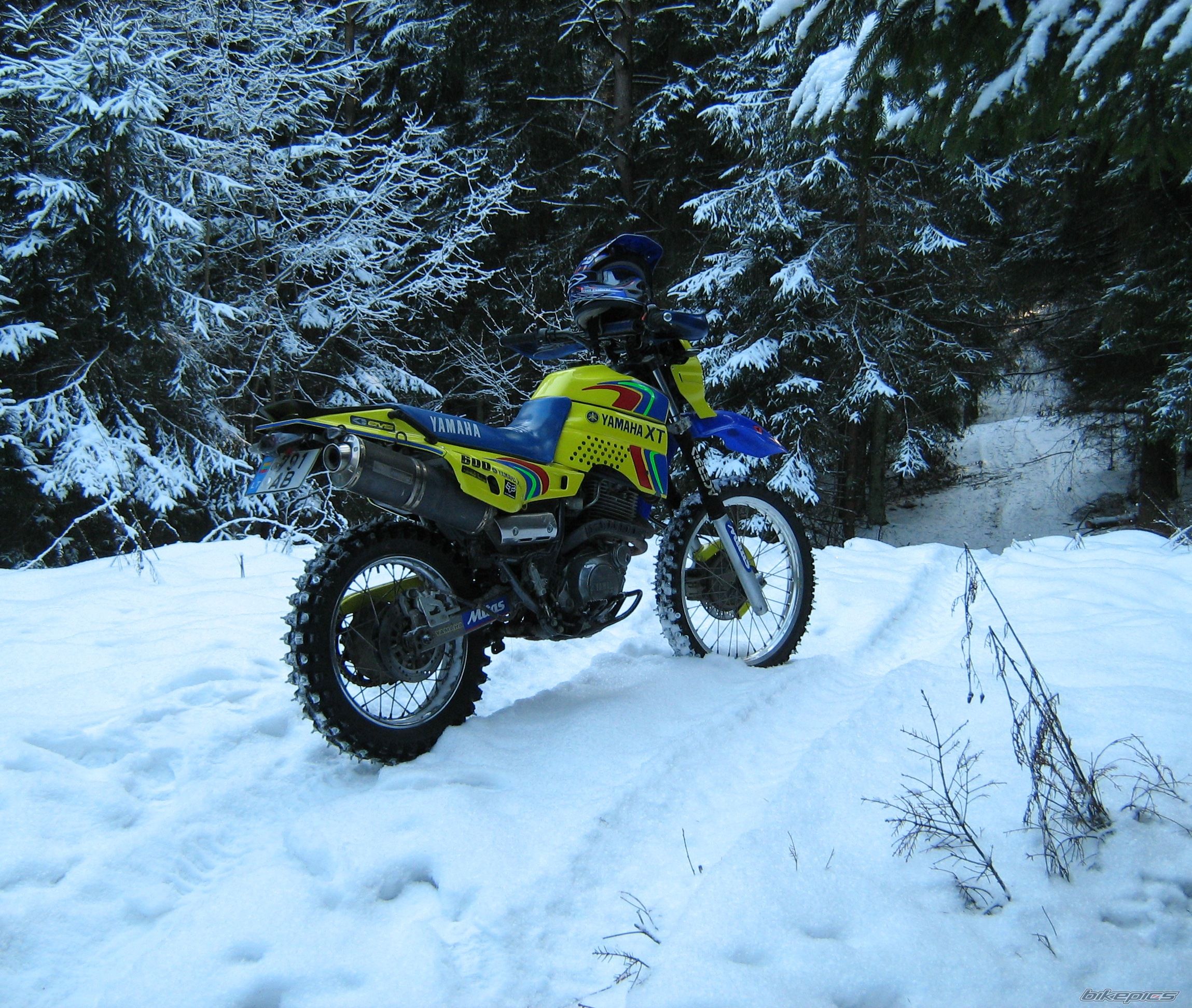 Bike Photo 1557389