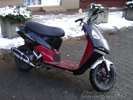 Photo 1557392